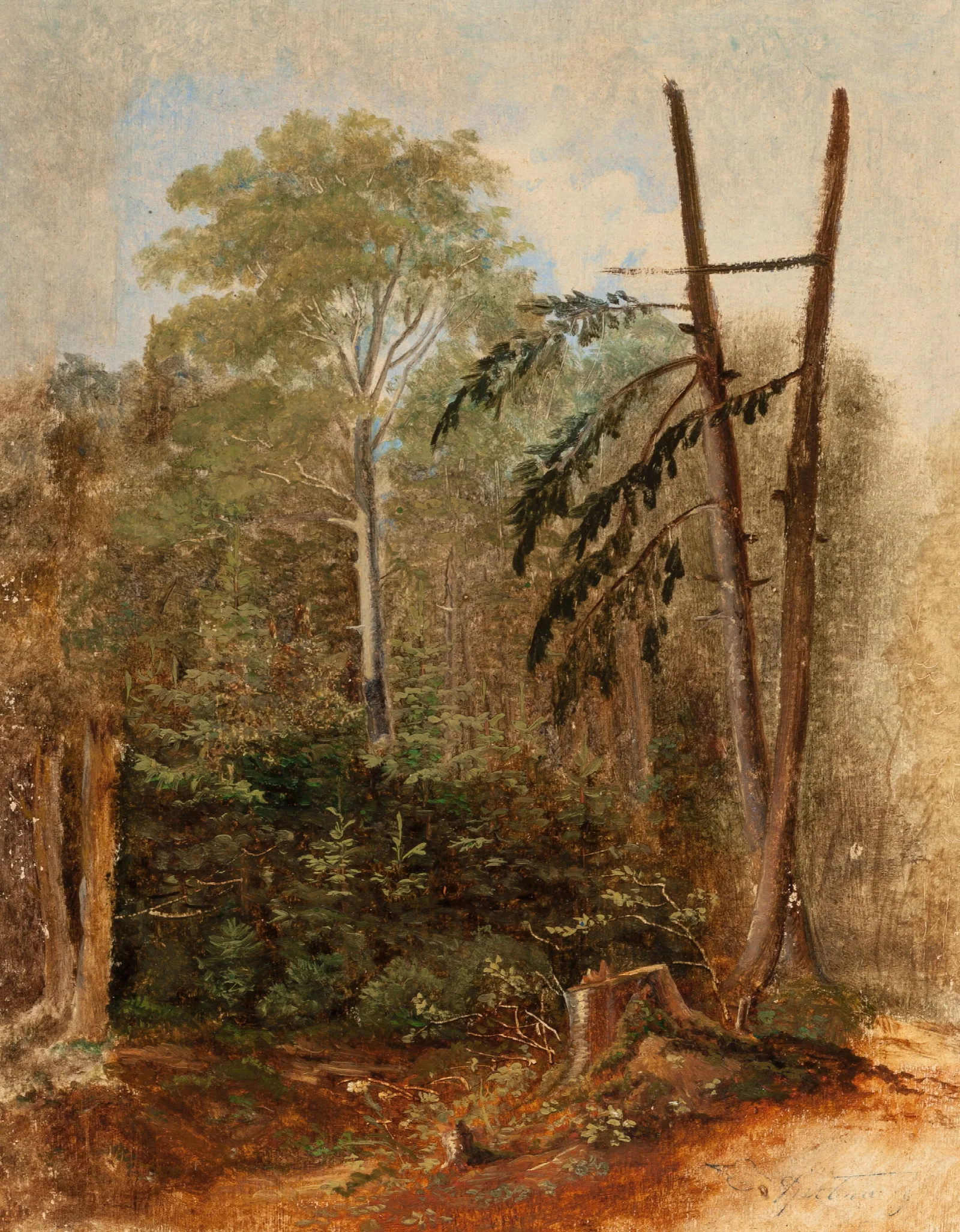 Study Of A Woodland Landscape Wall Art by Carl Spitzweg - Canvas Print