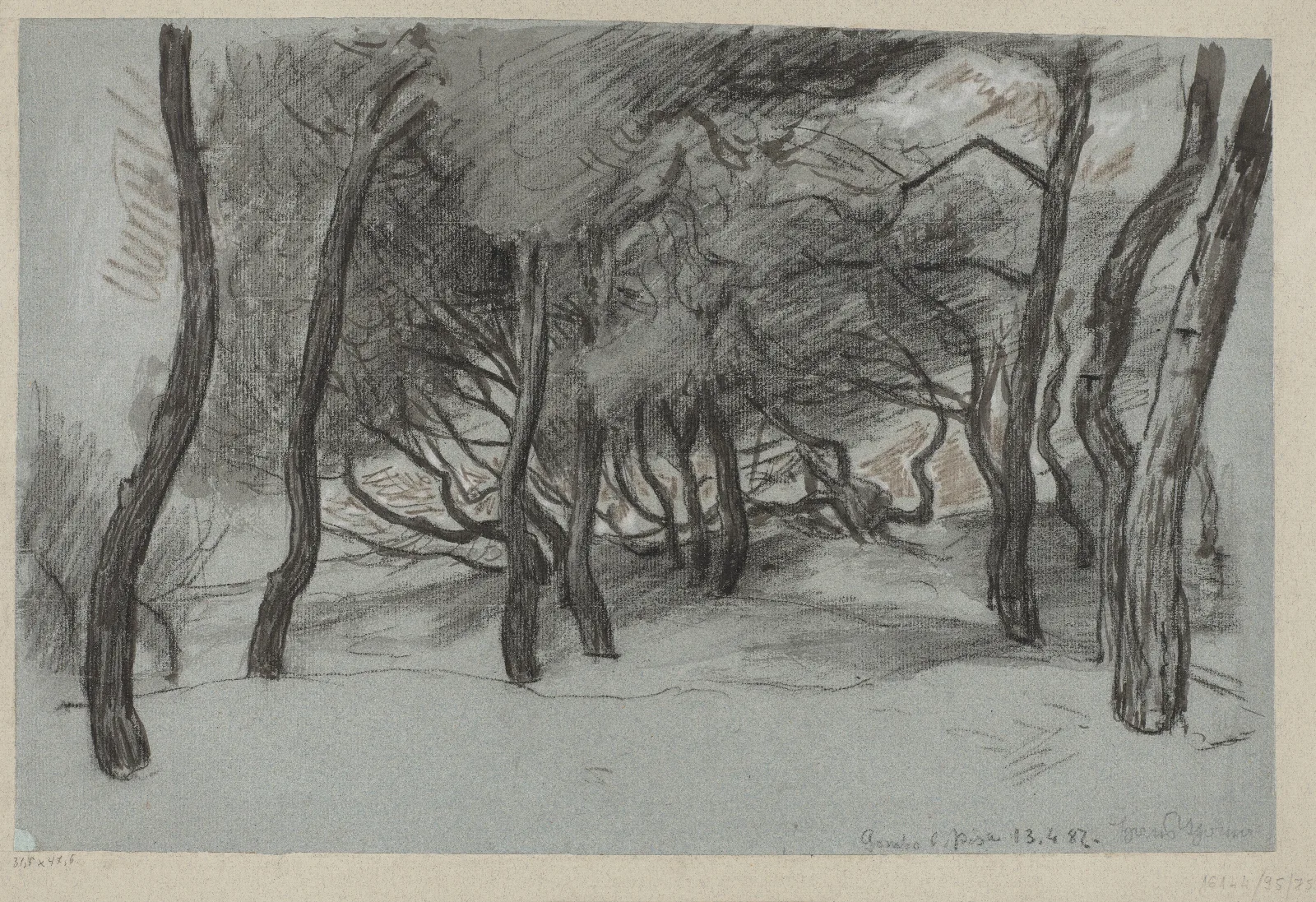 Trees On A Beach In Gombo Near Pisa Wall Art by Hans Thoma - Canvas Print