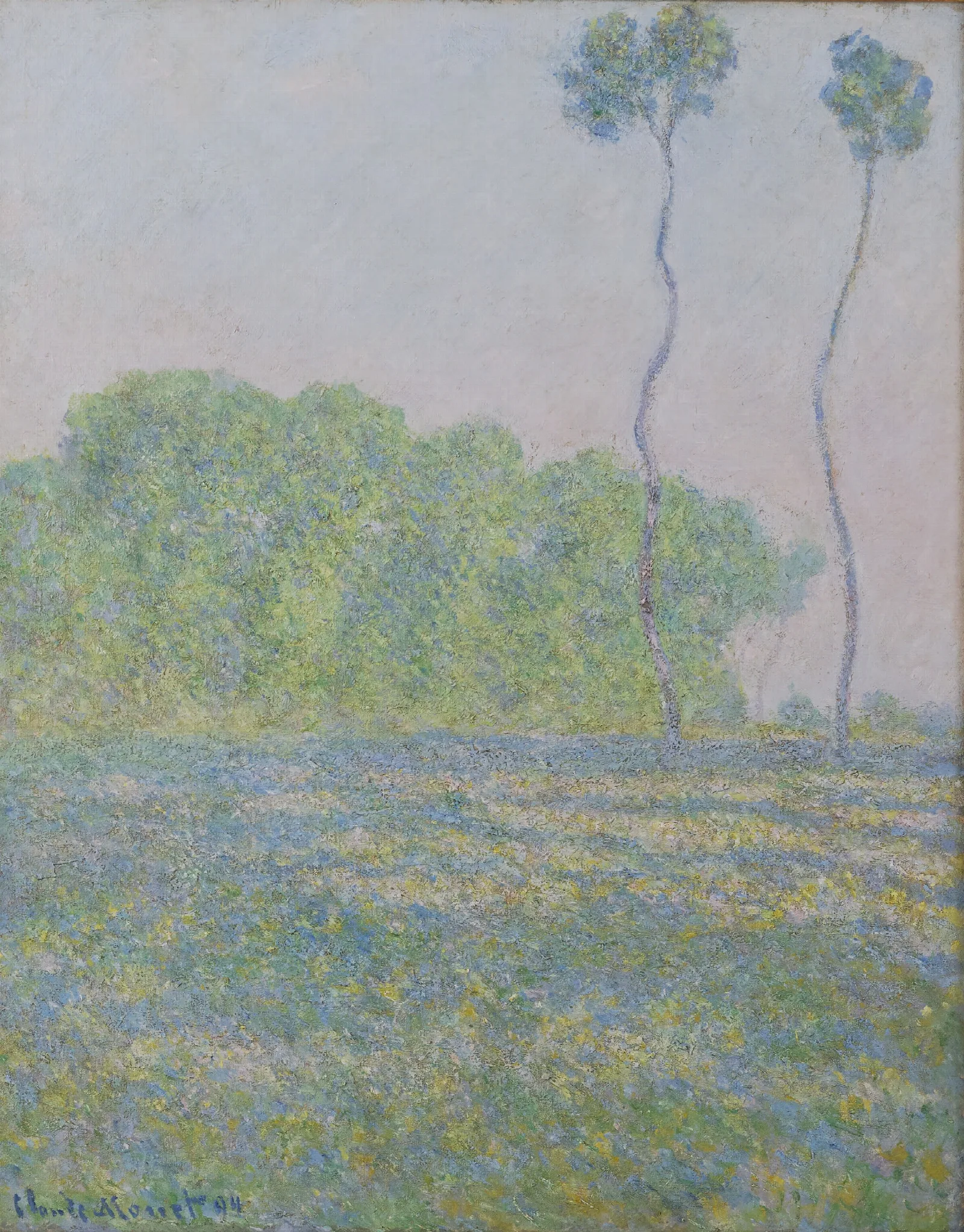 Meadow At Giverny Wall Art by Claude Monet - Canvas Print