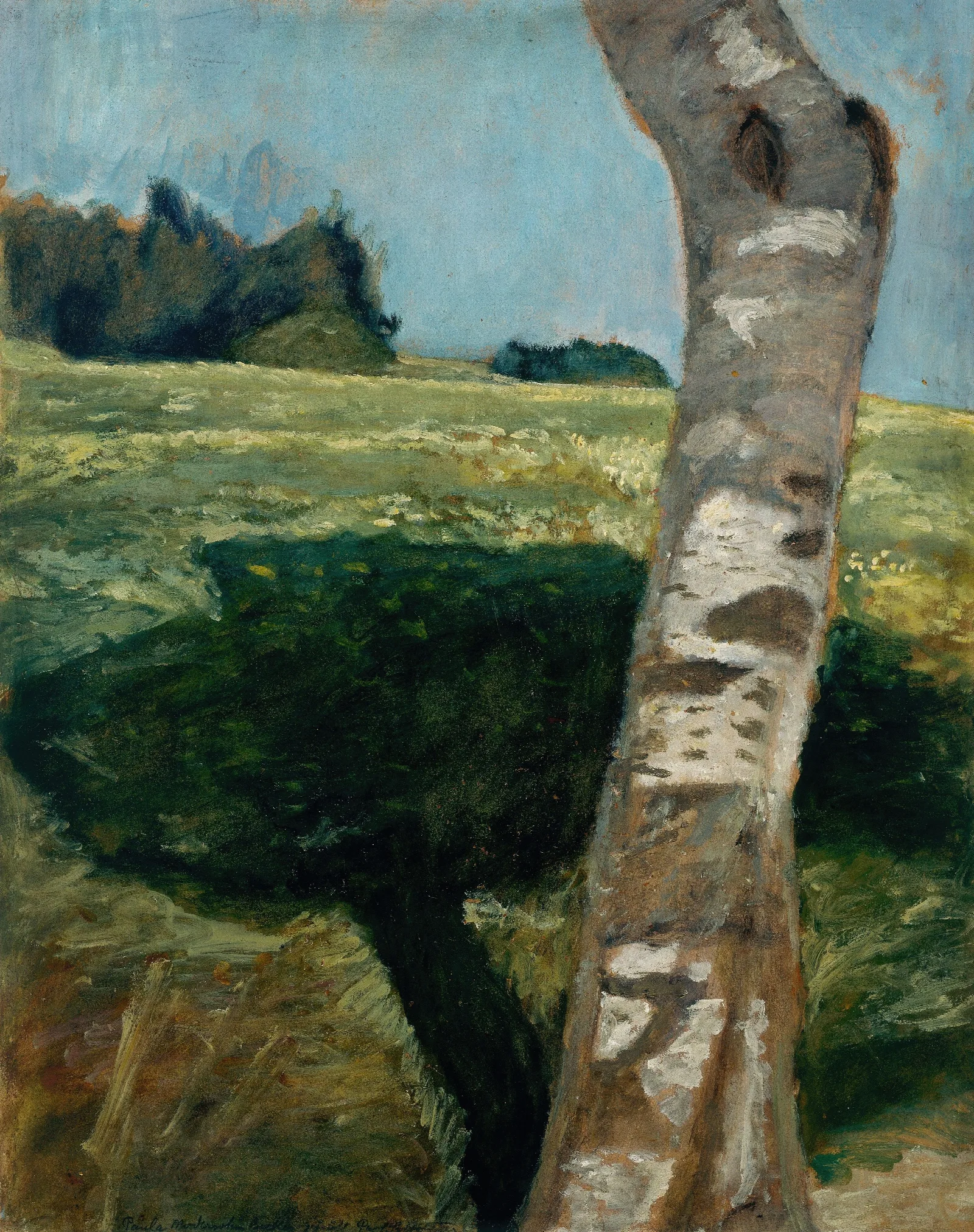 Birch Trunk 2 Wall Art by Paula Modersohn-Becker - Canvas Print