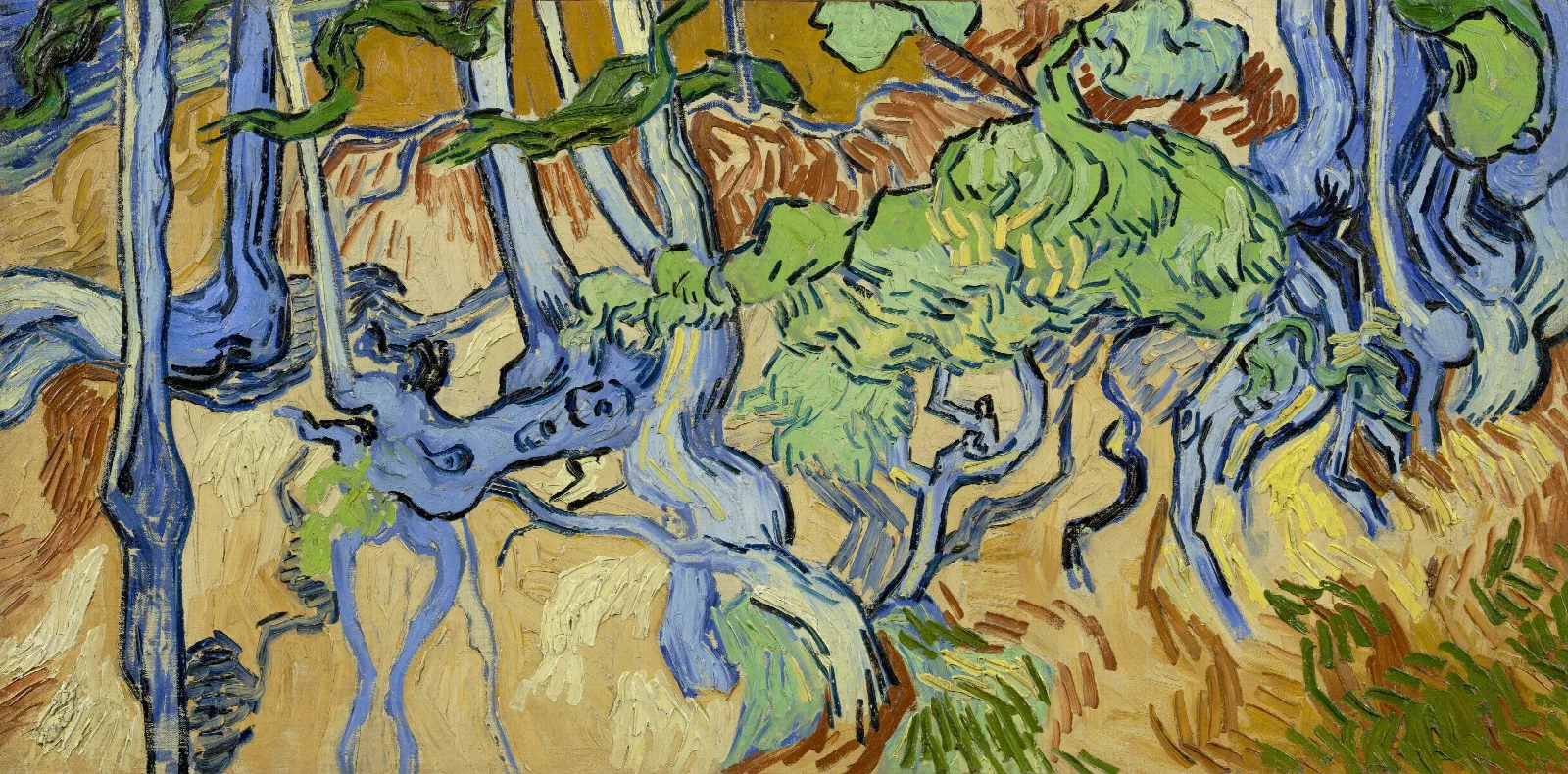 Tree Roots Wall Art by Vincent van Gogh - Canvas Print