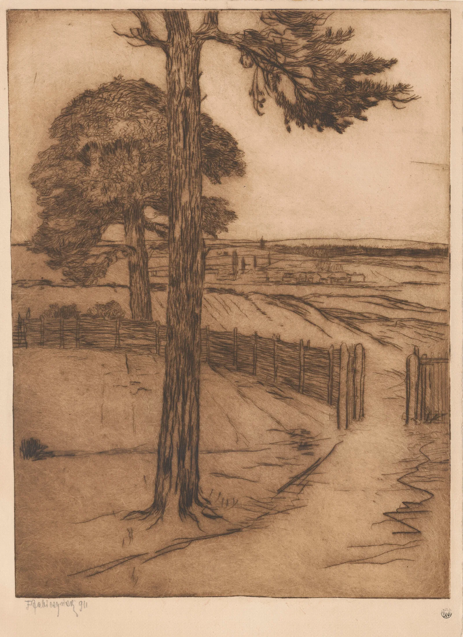 Pines Against The Background Of Rural Landscape Wall Art by Feliks Jabłczyński - Canvas Print