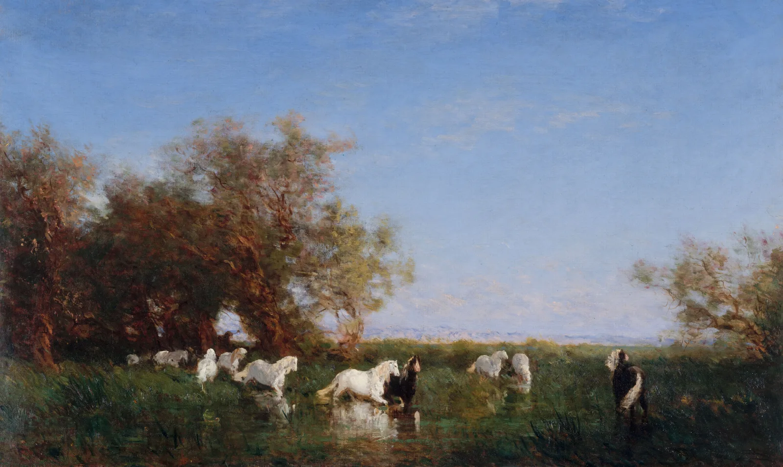 Chevaux Sauvages En Camargue Wall Art by Félix Ziem - Canvas Print