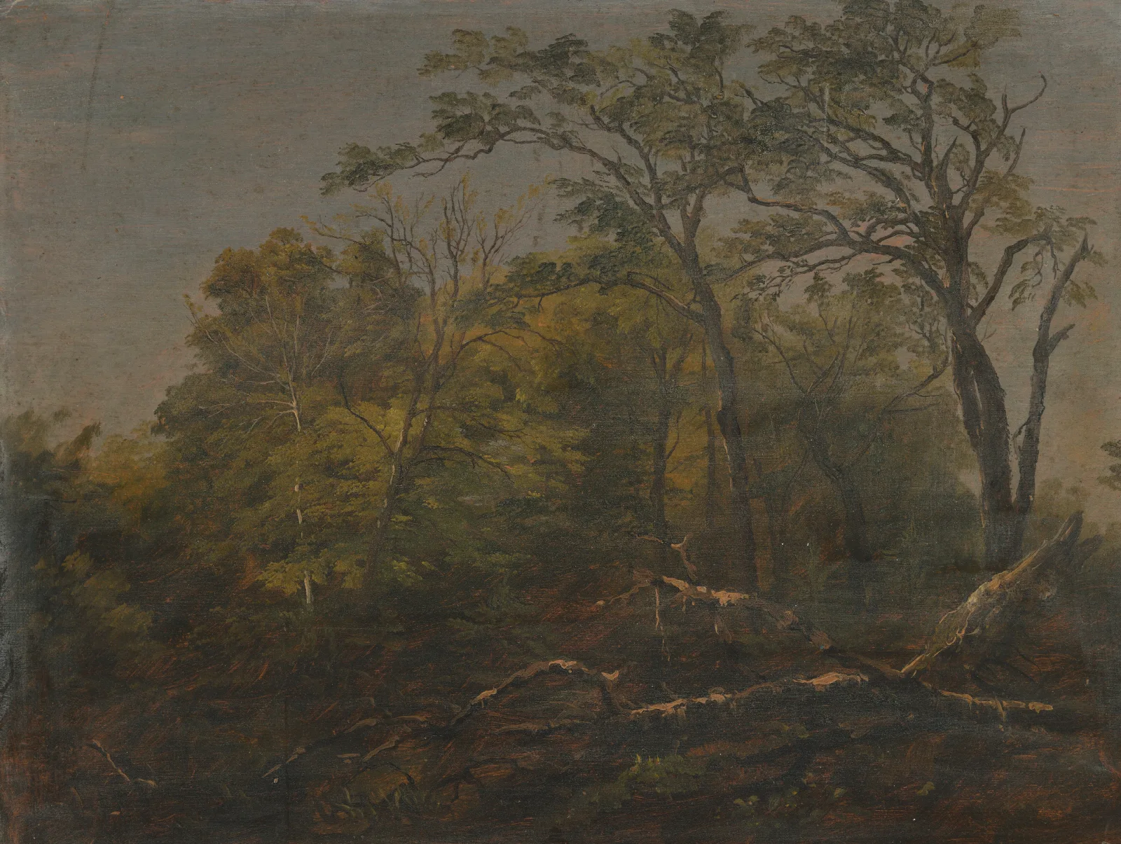 Maine Woods Wall Art by Frederic Edwin Church - Canvas Print