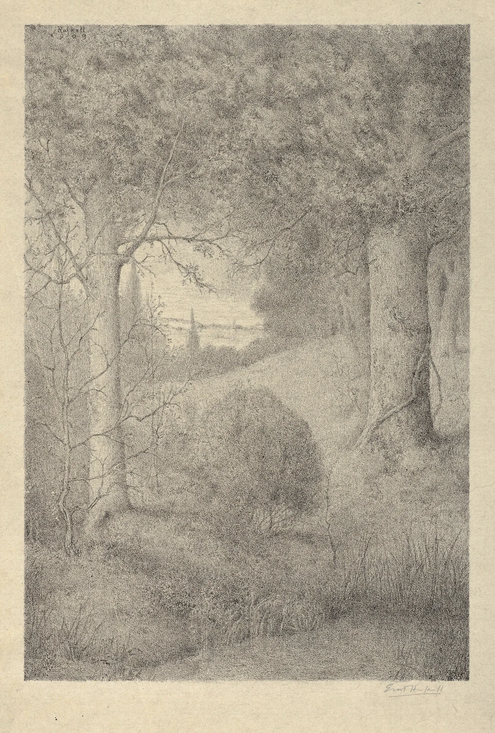 The Edge Of The Wood Wall Art by Ernest Haskell - Canvas Print