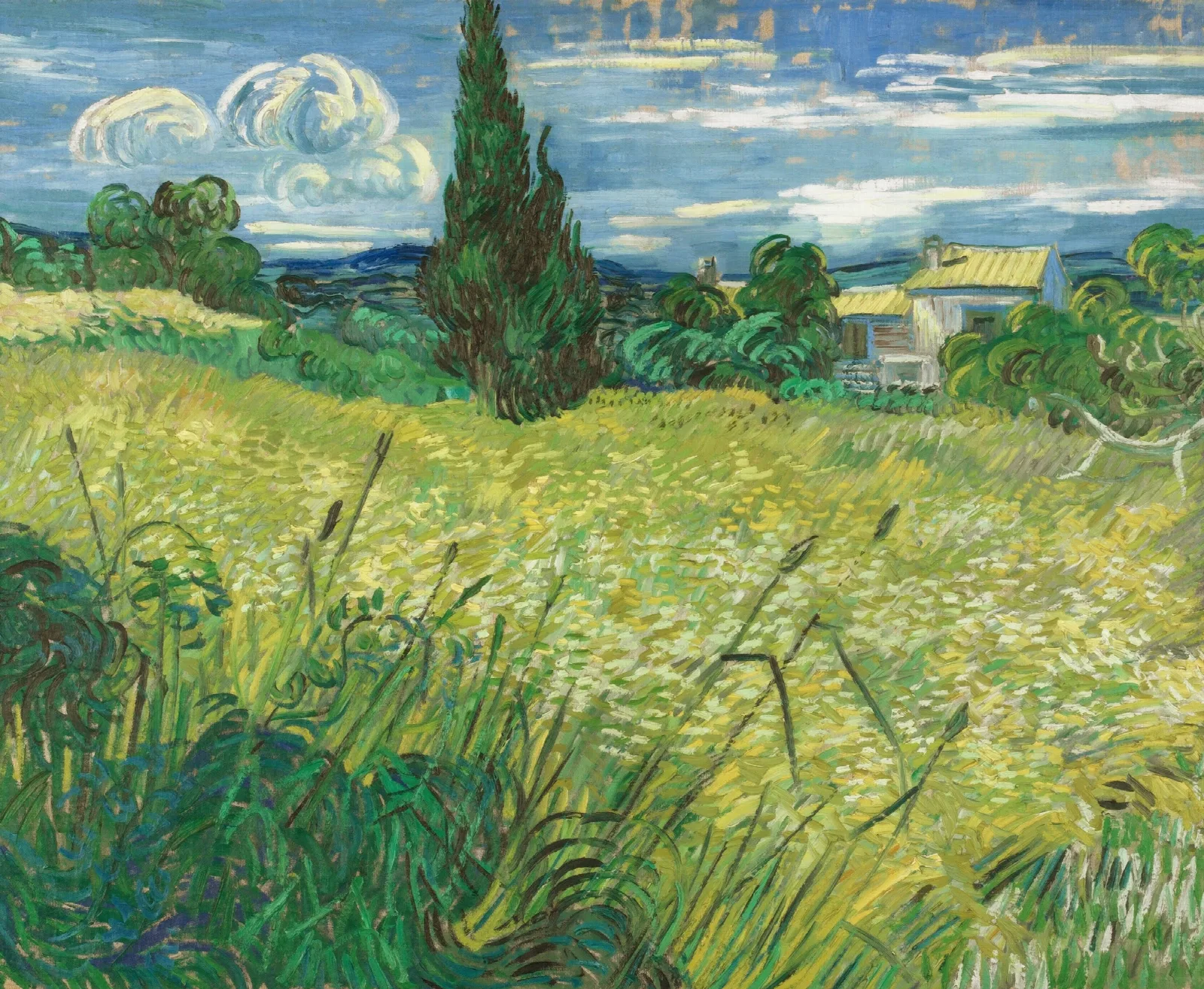 Green Field Wall Art by Vincent van Gogh - Canvas Print