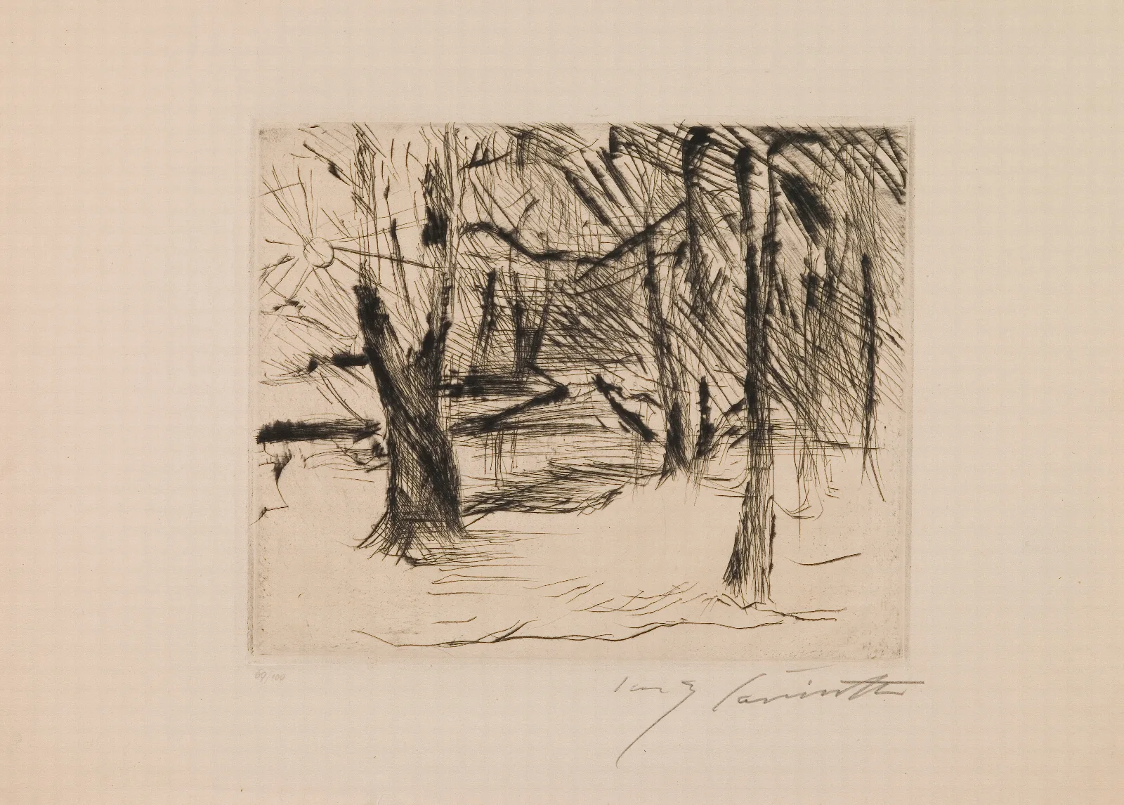 Trees In The Sun Wall Art by Lovis Corinth - Canvas Print