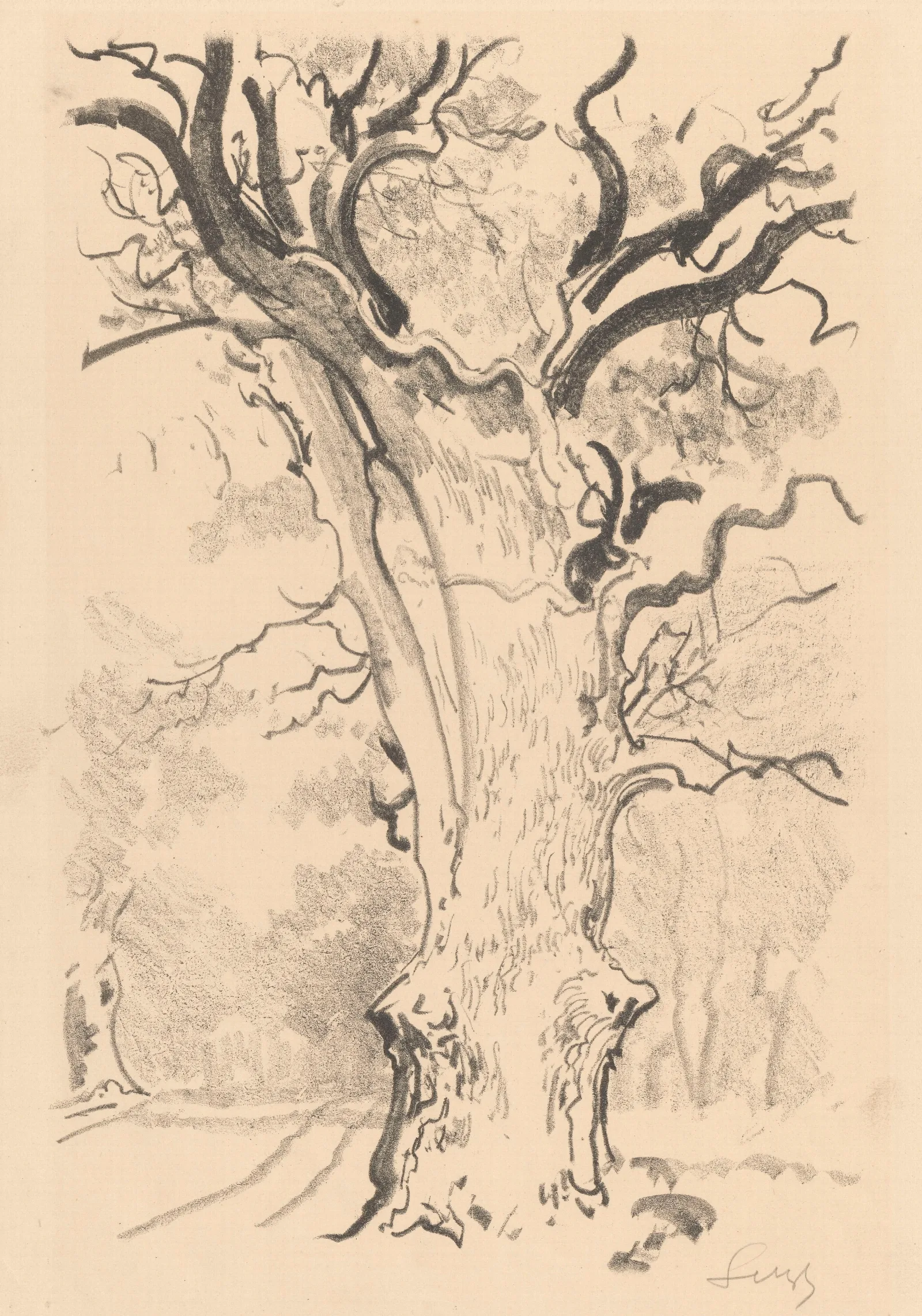 Oak About Rogalin Wall Art by Leon Wyczółkowski - Canvas Print