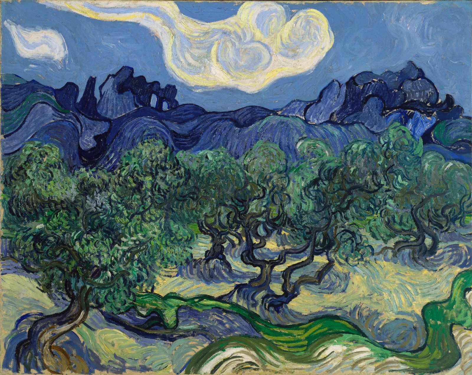 The Olive Trees Wall Art by Vincent van Gogh - Canvas Print