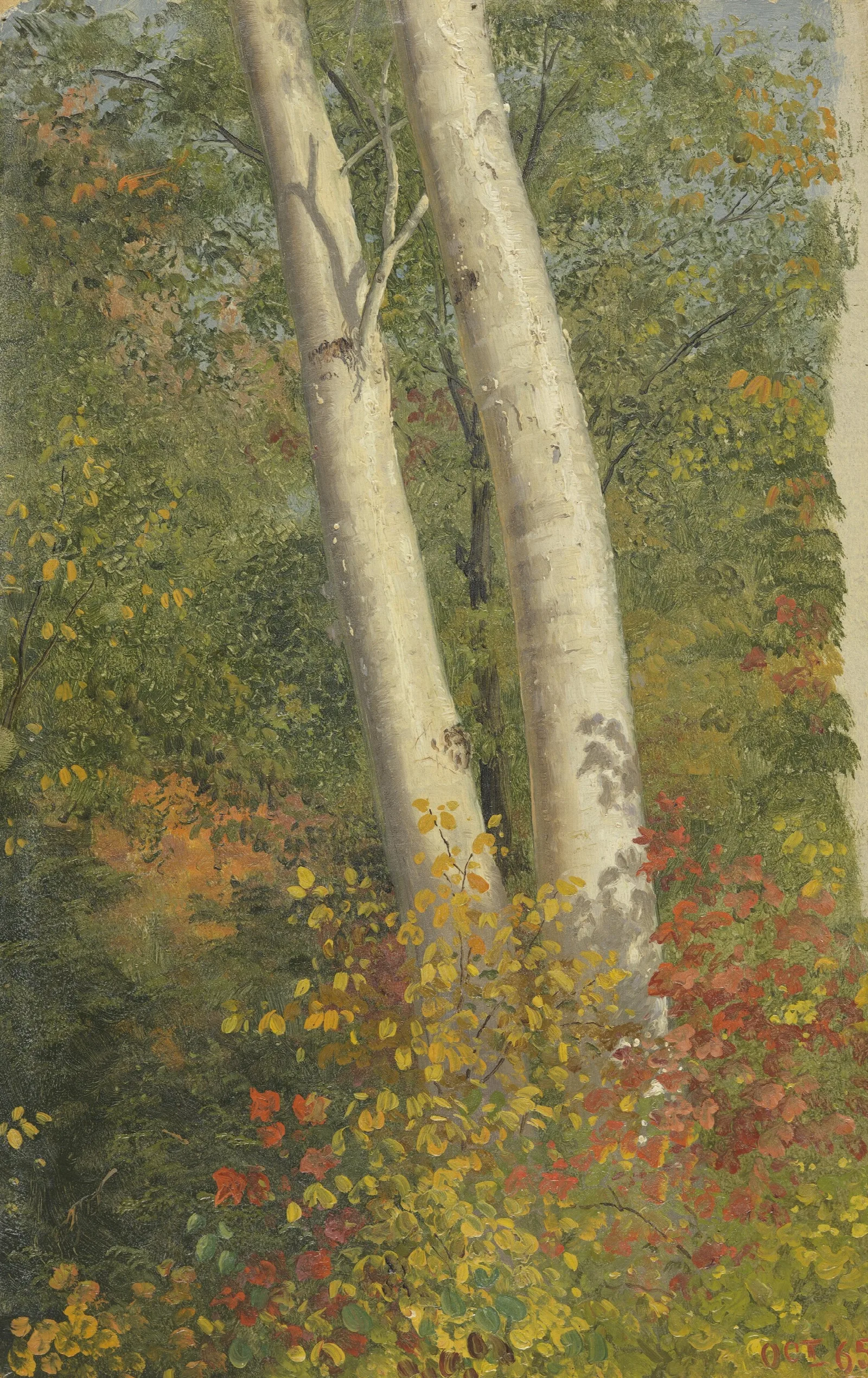 Birch Trees In Autumn Wall Art by Frederic Edwin Church - Canvas Print