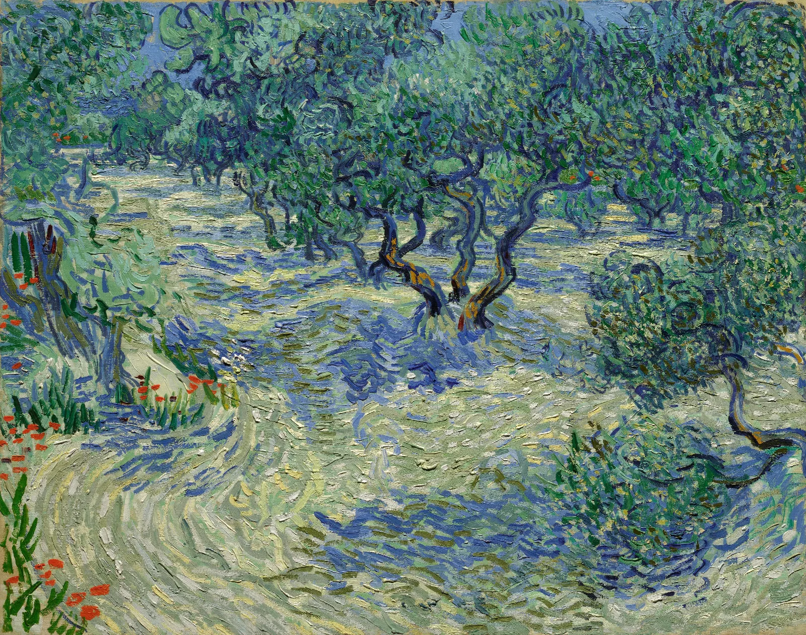 Olive Orchard Wall Art by Vincent van Gogh - Canvas Print