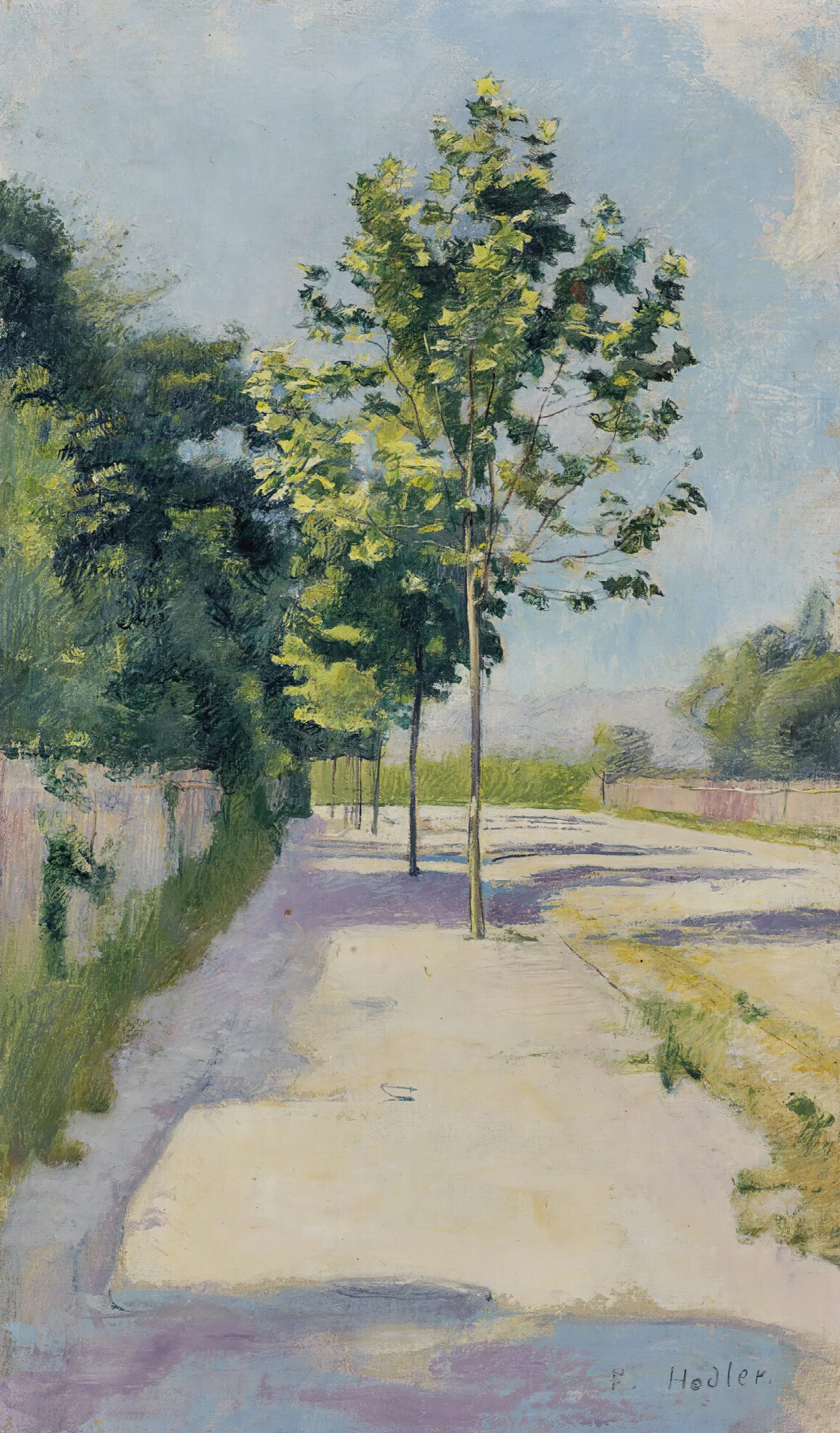 Street Of St Georges Wall Art by Ferdinand Hodler - Canvas Print