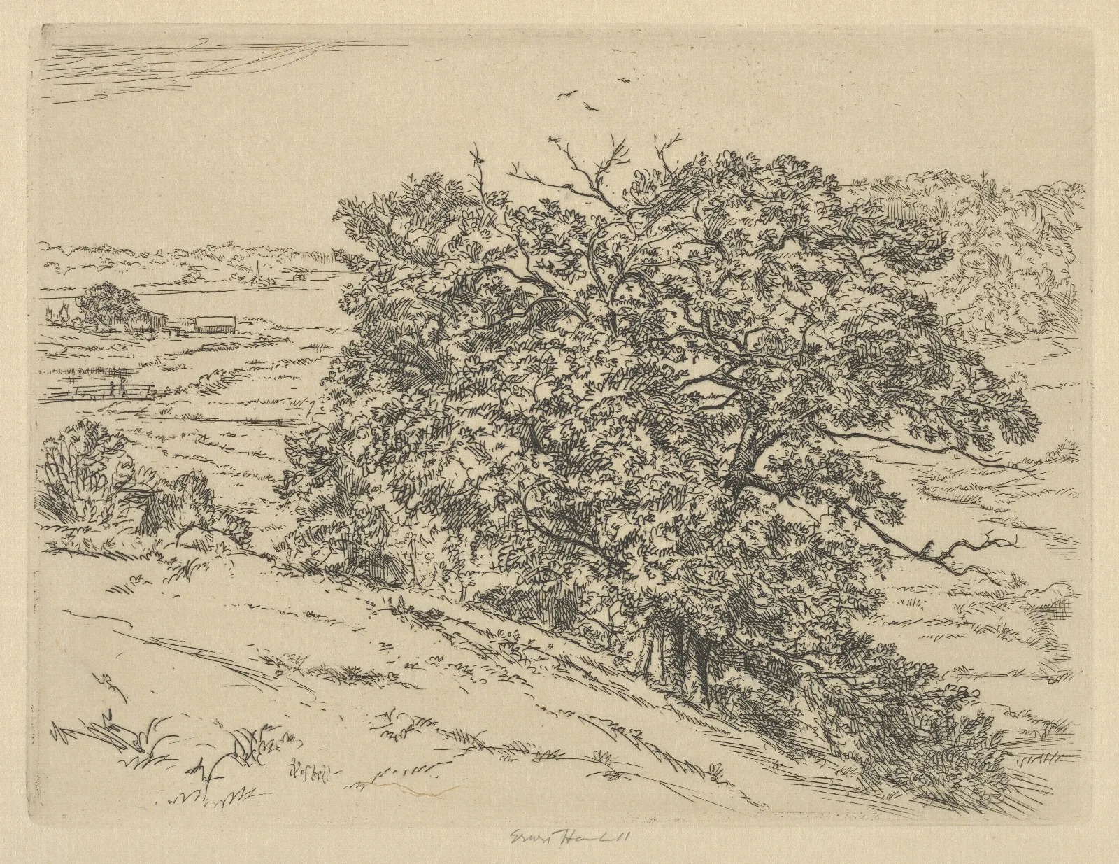 Dromore Oaks Wall Art by Ernest Haskell - Canvas Print