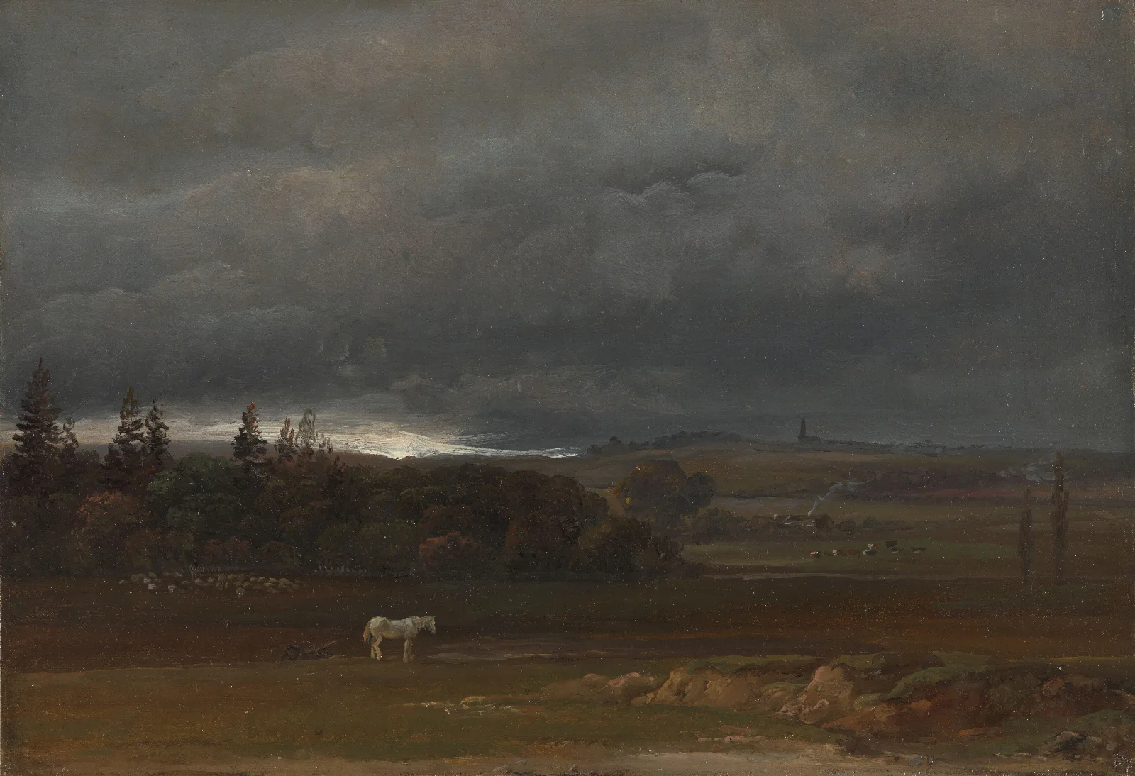 Fields Near Dresden With A White Horse Wall Art by Johan Christian Dahl - Canvas Print