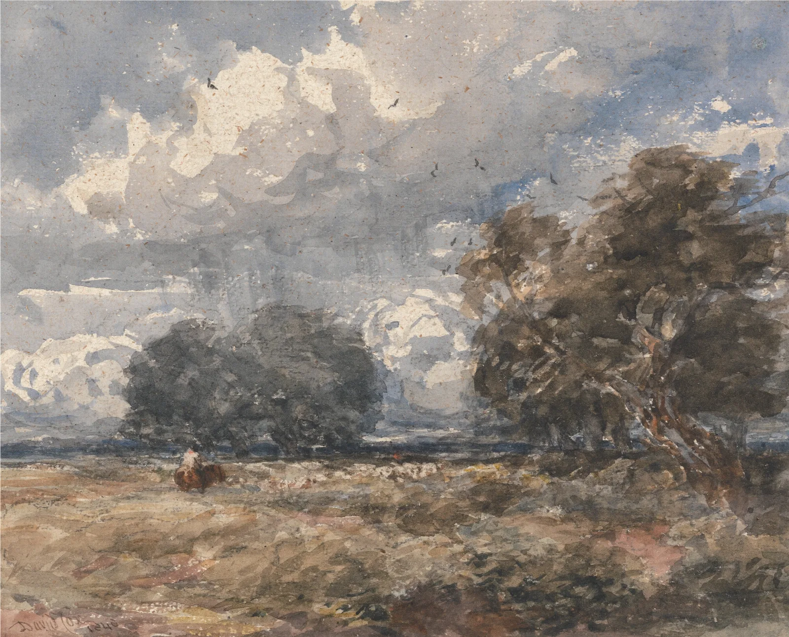 Shepherding The Flock Windy Day Wall Art by David Cox - Canvas Print