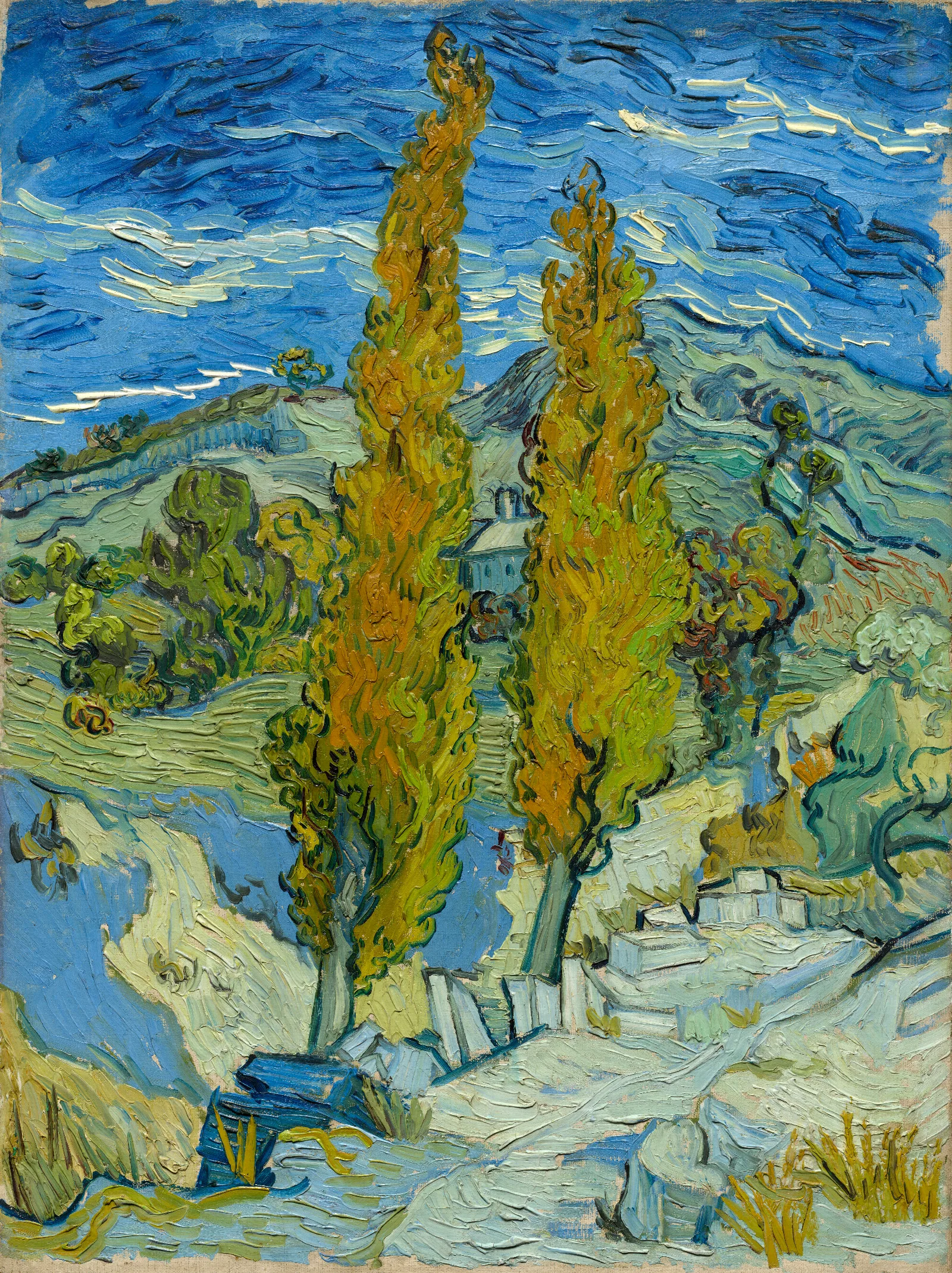 Two Poplars In The Alpilles Near Saint Remy 2 Wall Art by Vincent van Gogh - Canvas Print