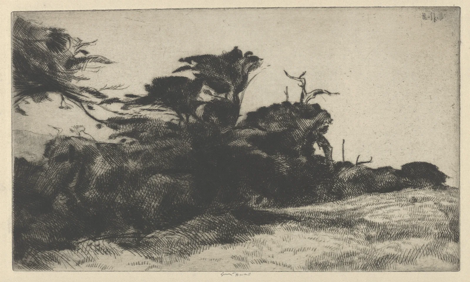 Cypress Study No 2 Wall Art by Ernest Haskell - Canvas Print