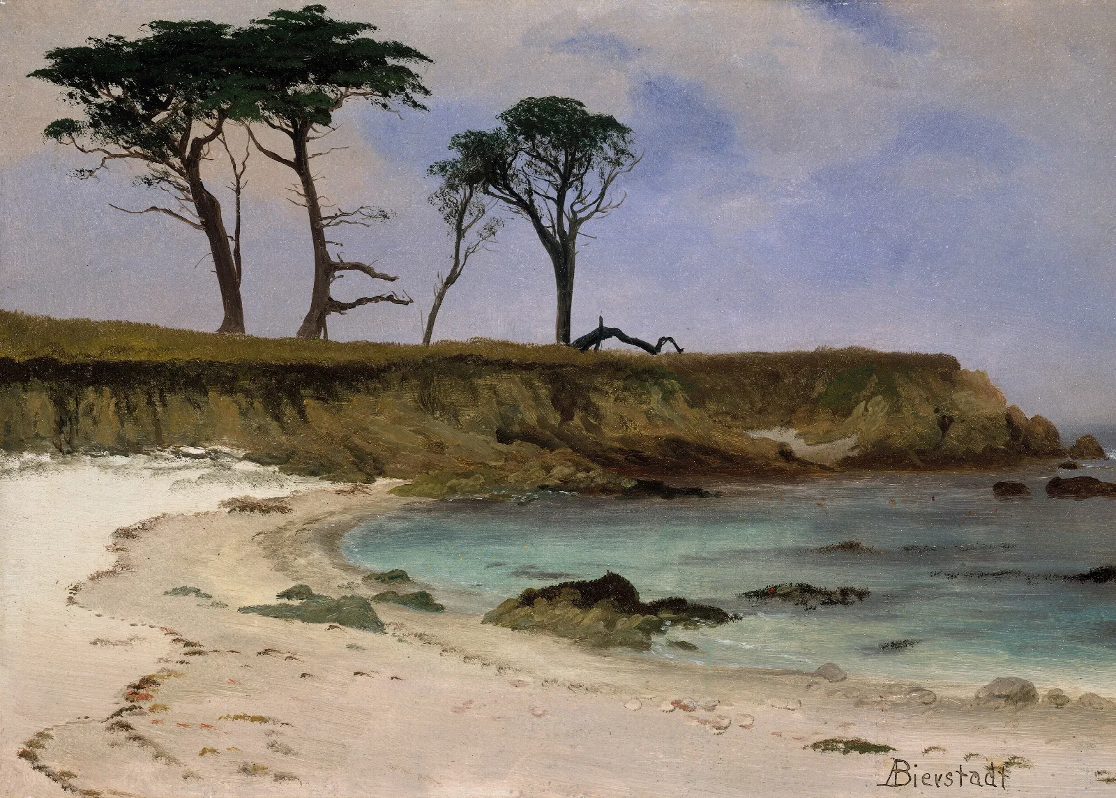 Sea Cove Wall Art by Albert Bierstadt - Canvas Print
