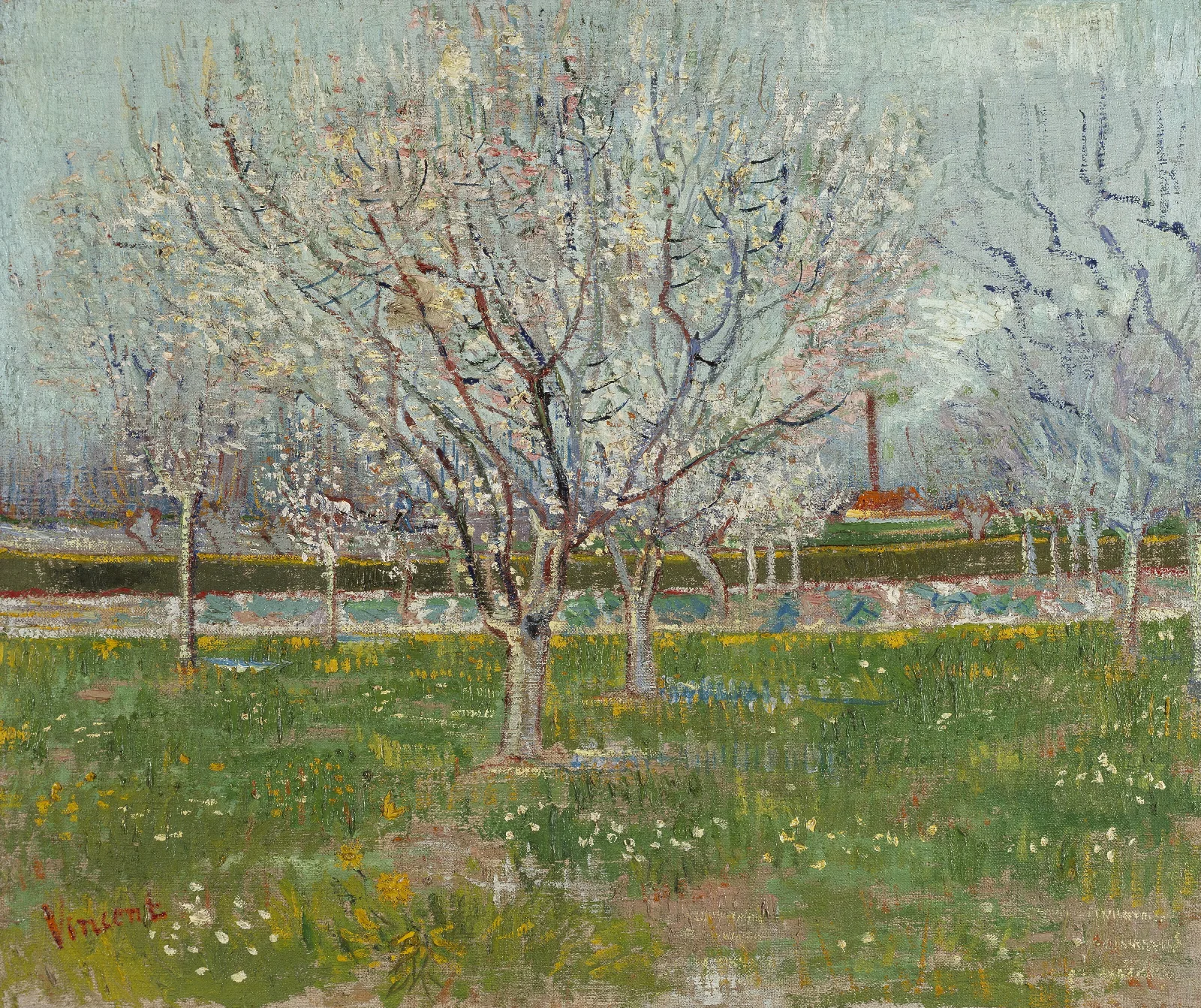 Orchard In Blossom Plum Trees Wall Art by Vincent van Gogh - Canvas Print