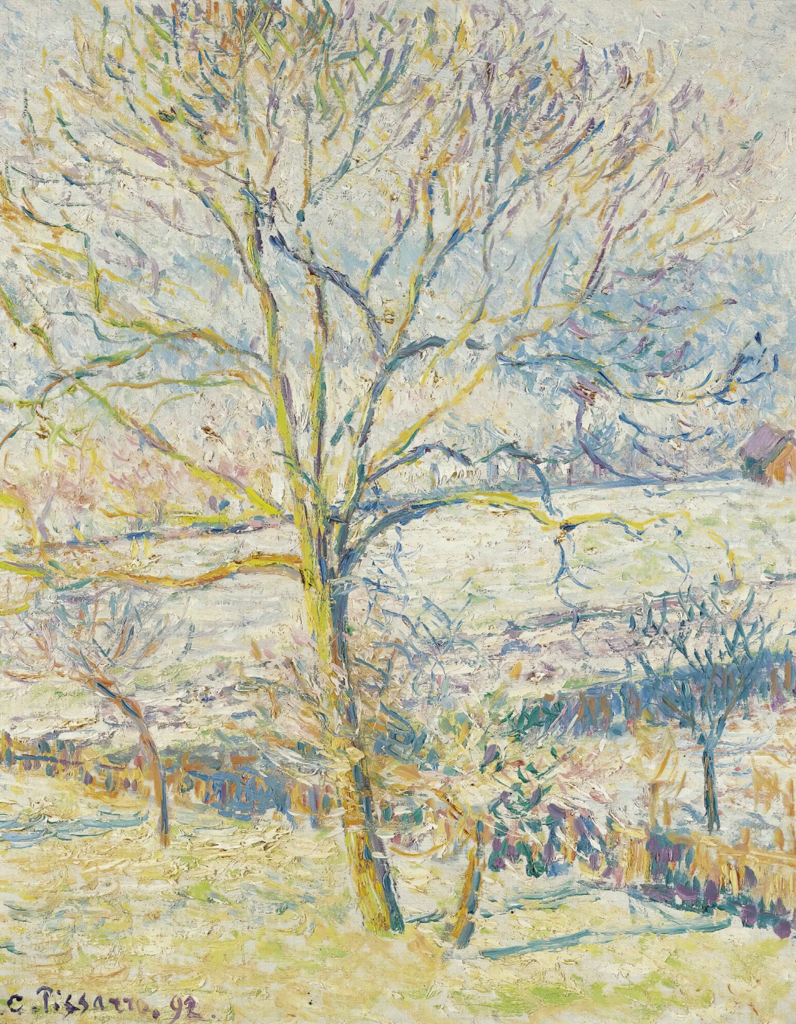 Le Grand Noyer Gelee Blanche Eragny Wall Art by Camille Pissarro - Canvas Print