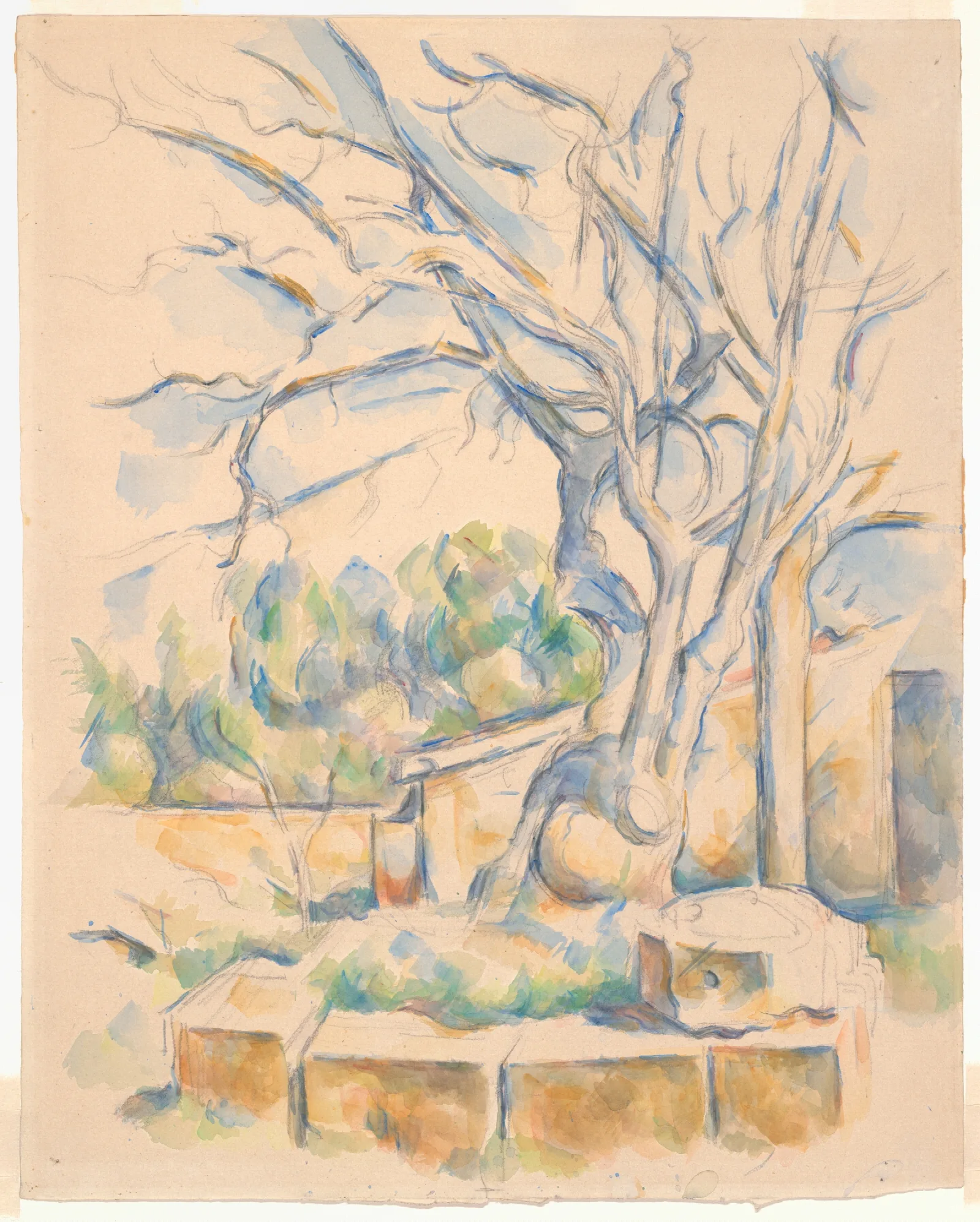 Pistachio Tree At Chateau Noir Wall Art by Paul Cézanne - Canvas Print