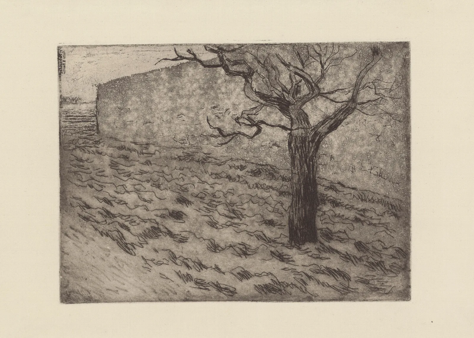 Arbre Et Terrain Laboure Wall Art by Camille Pissarro - Canvas Print