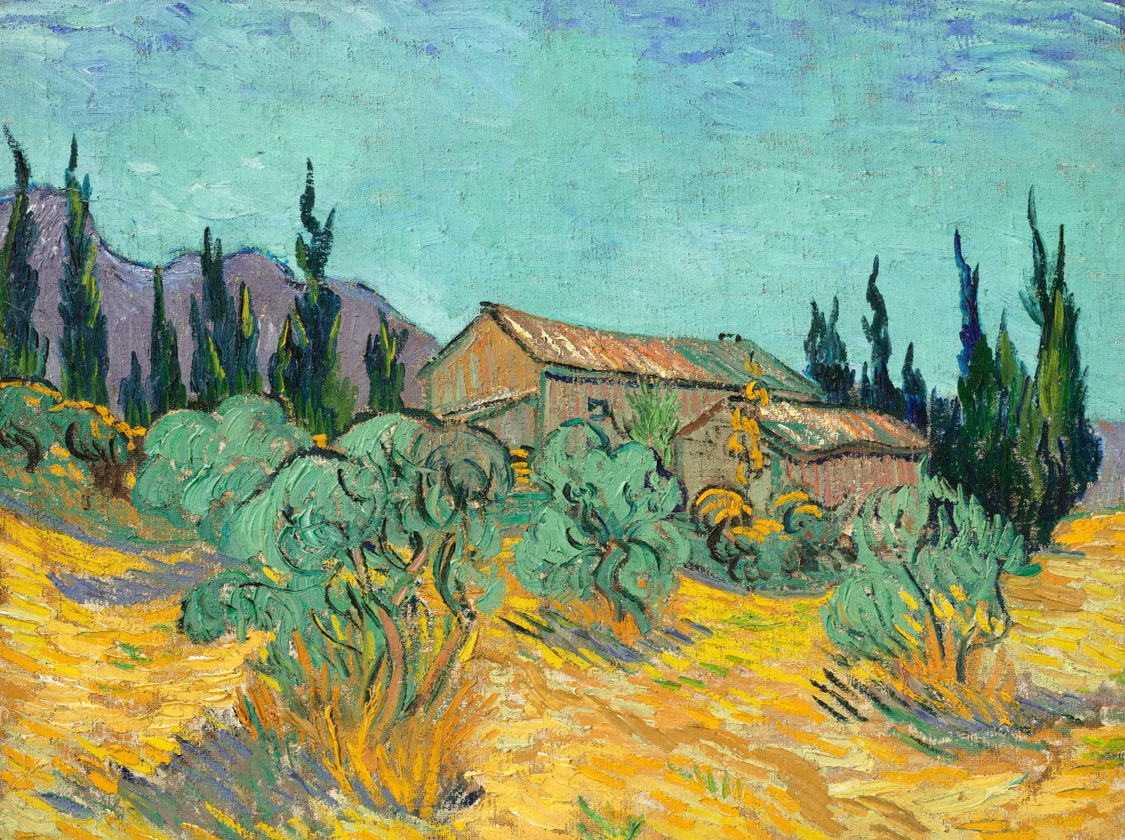 Cabanes De Bois Parmi Les Oliviers Et Cypres Wall Art by Vincent van Gogh - Canvas Print