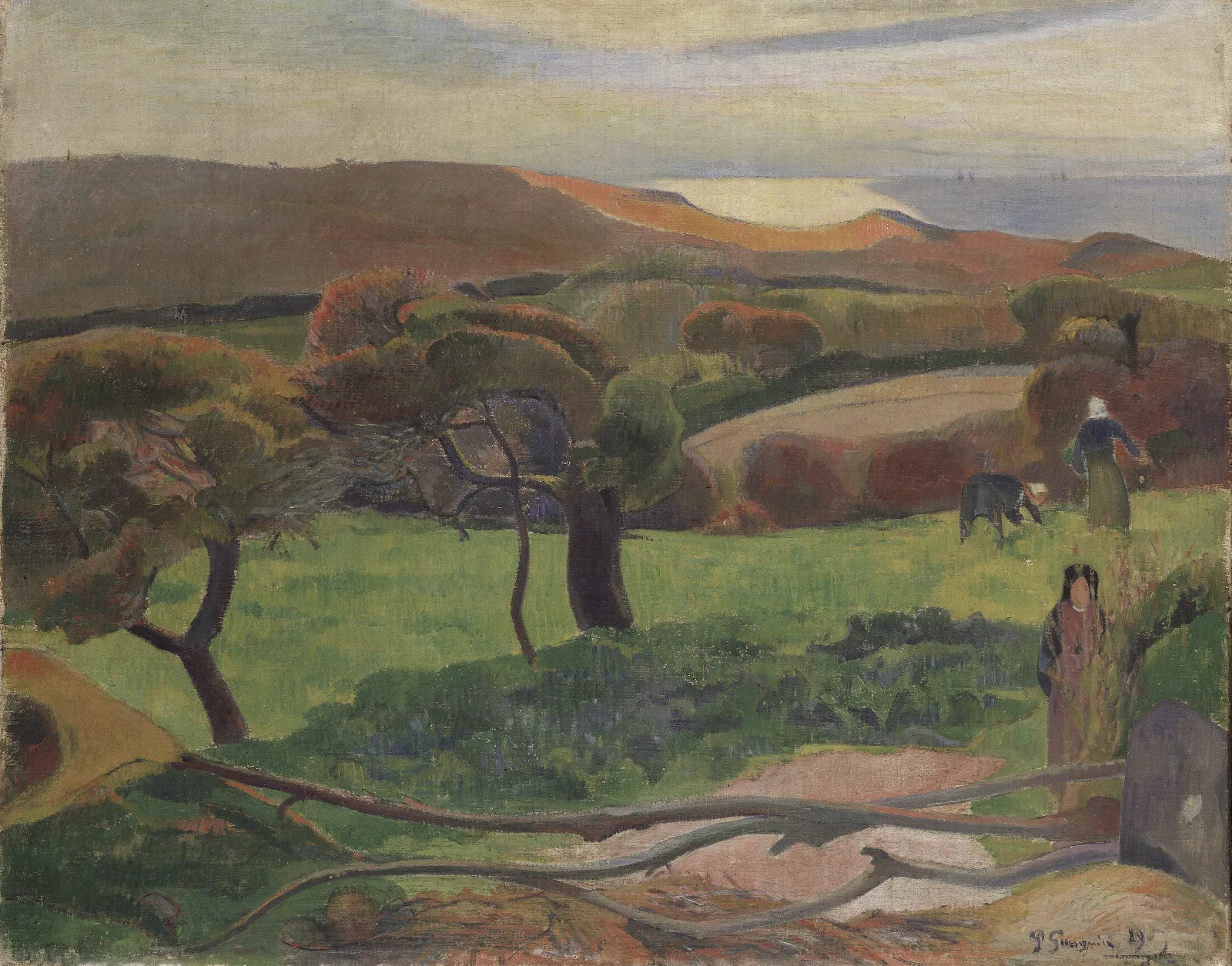 Les Champs Au Bord De La Mer Wall Art by Paul Gauguin - Canvas Print