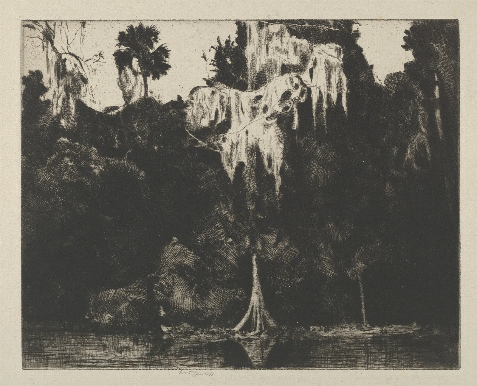 Ghost Cypress Wall Art by Ernest Haskell - Canvas Print