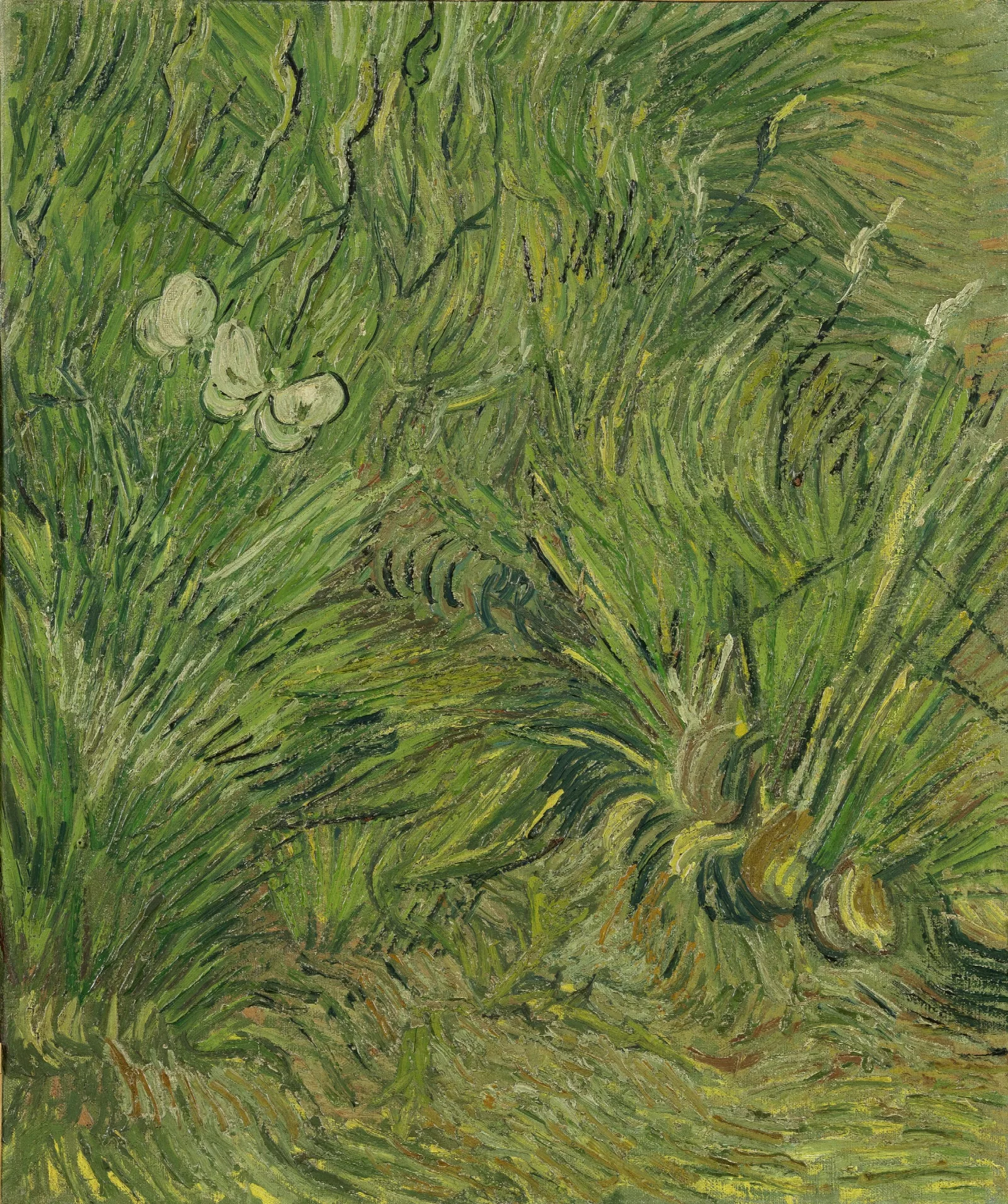 Garden With Butterflies Wall Art by Vincent van Gogh - Canvas Print