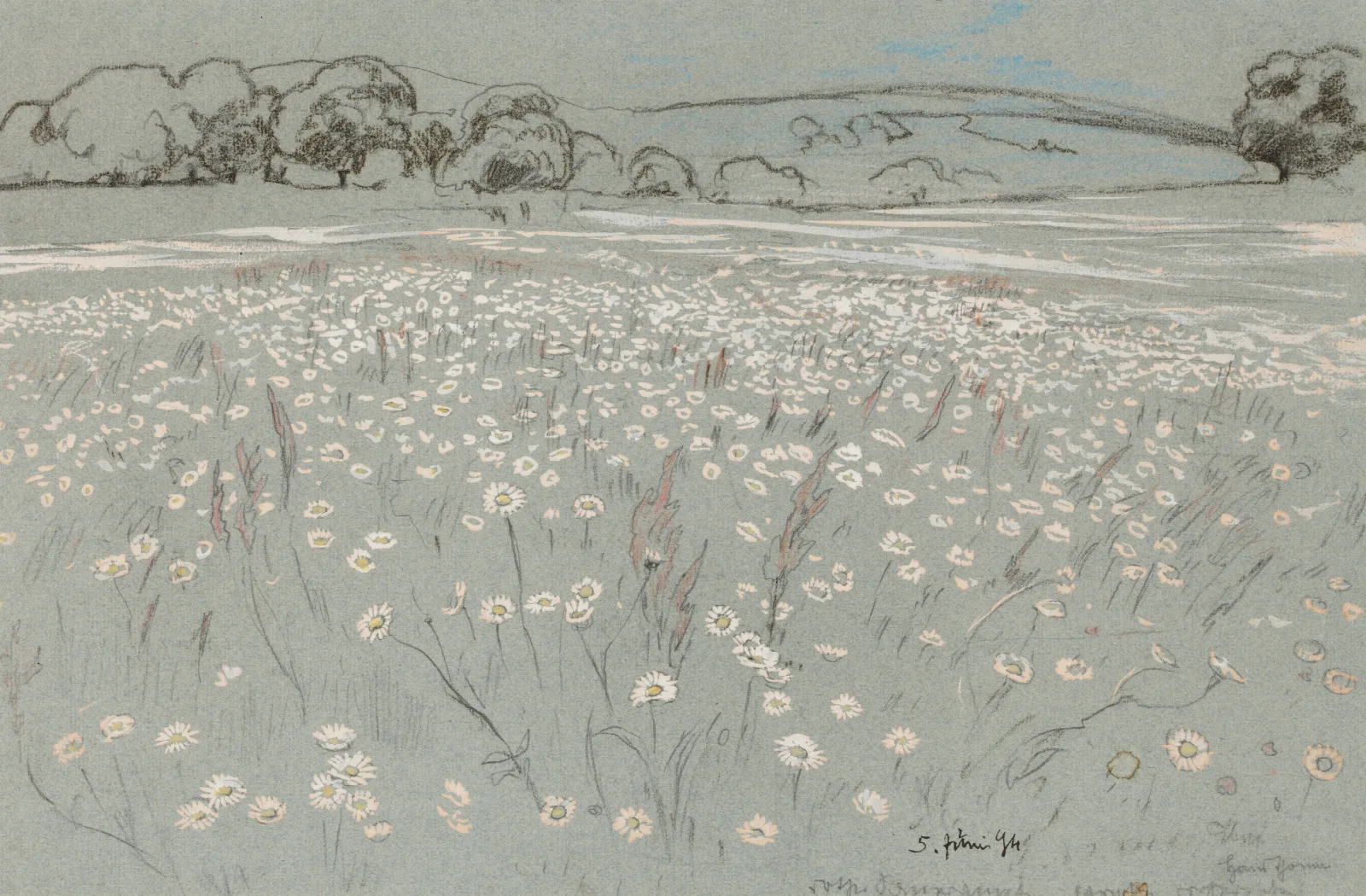 Meadow With Daisys Wall Art by Hans Thoma - Canvas Print