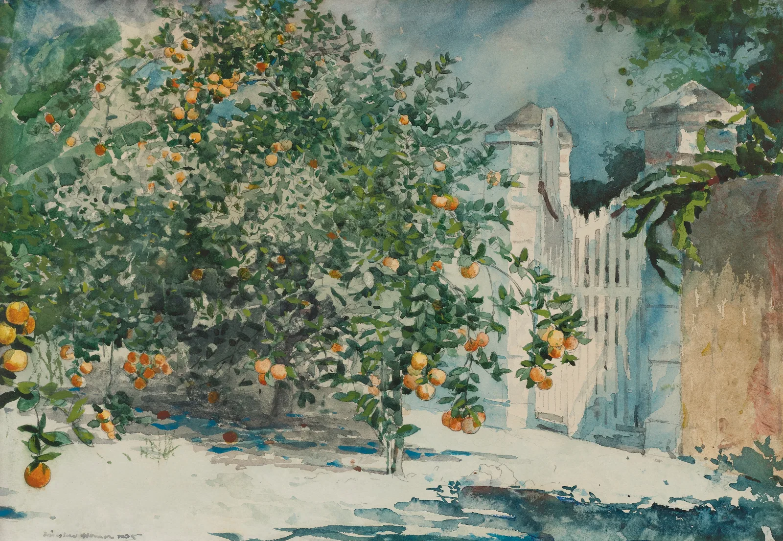 Orange Trees And Gate Wall Art by Winslow Homer - Canvas Print