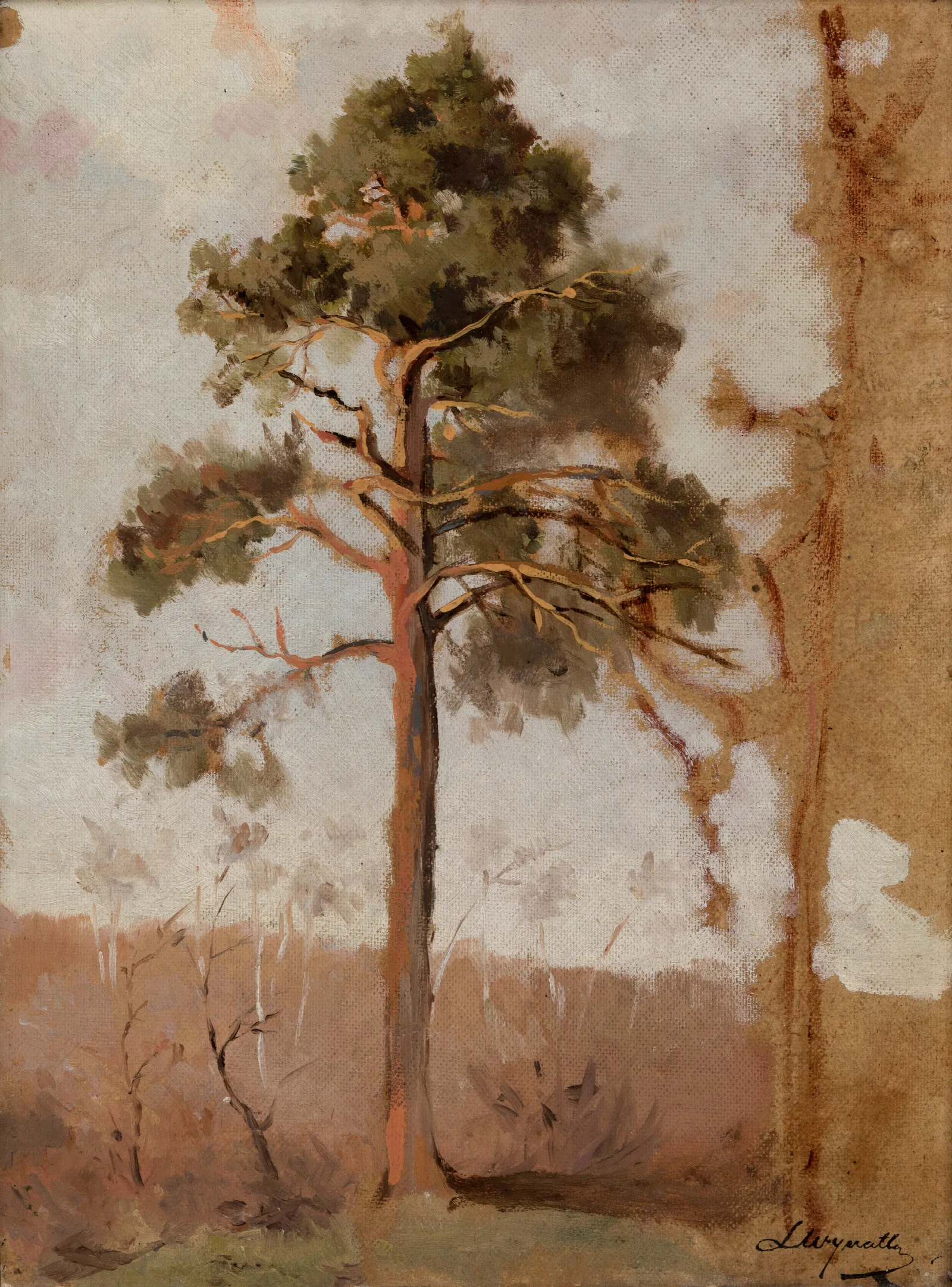 Pines At Polaga Wall Art by Leon Wyczółkowski - Canvas Print