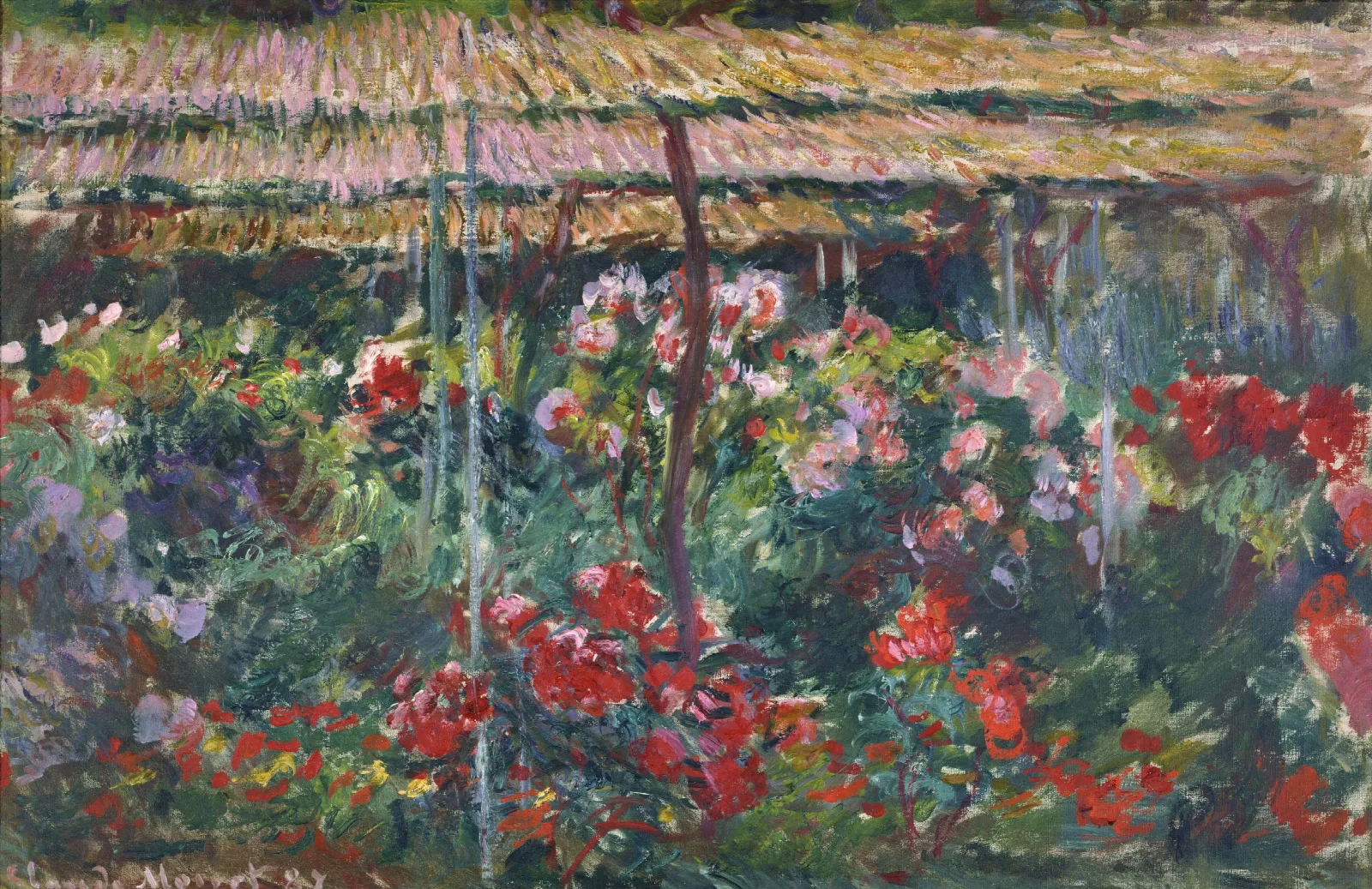 Peony Garden Wall Art by Claude Monet - Canvas Print