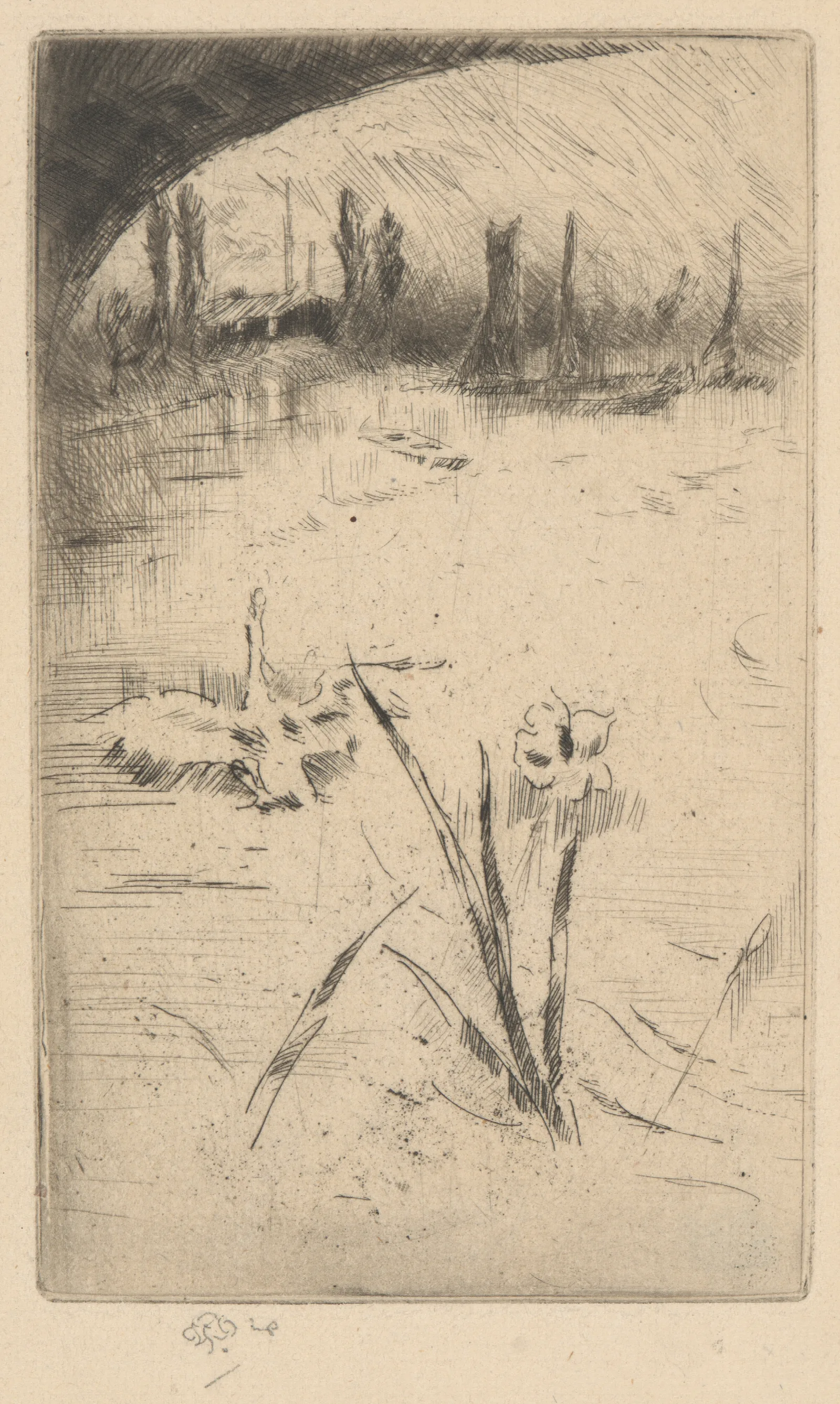 Swan And Iris Wall Art by James Abbott McNeill Whistler - Canvas Print