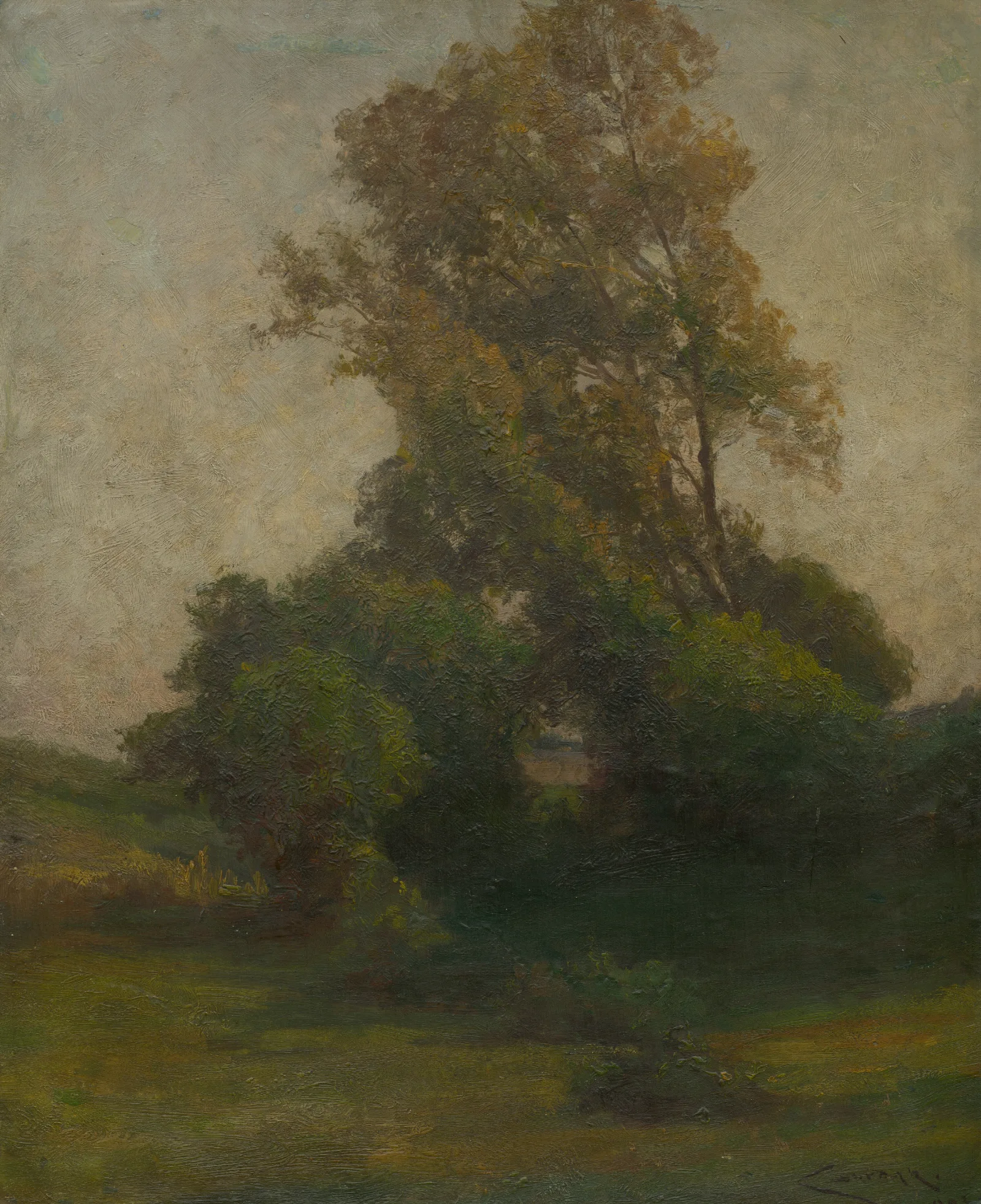 Tree In The Countryside Wall Art by Ľudovít Čordák - Canvas Print