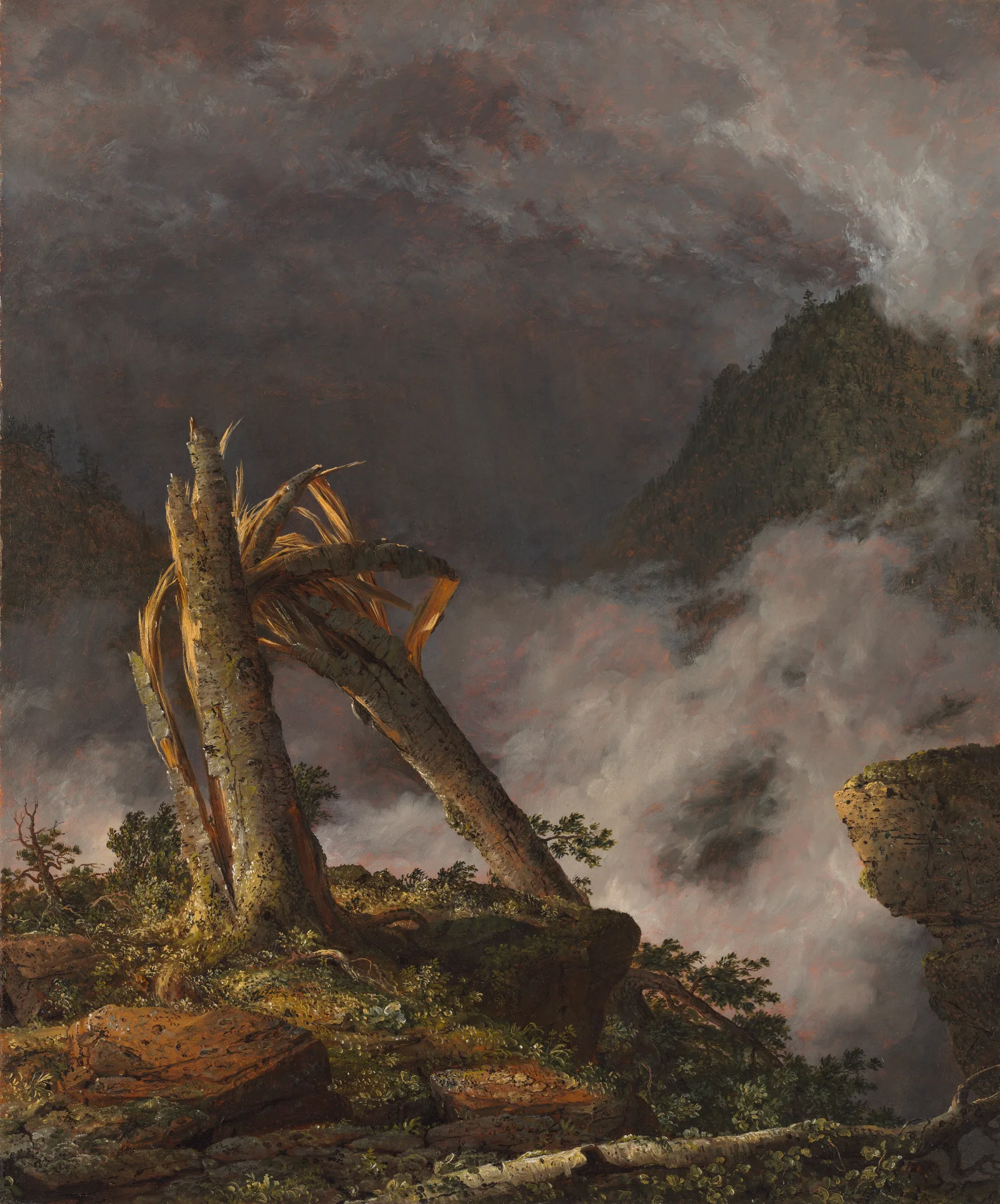 Storm In The Mountains Wall Art by Frederic Edwin Church - Canvas Print