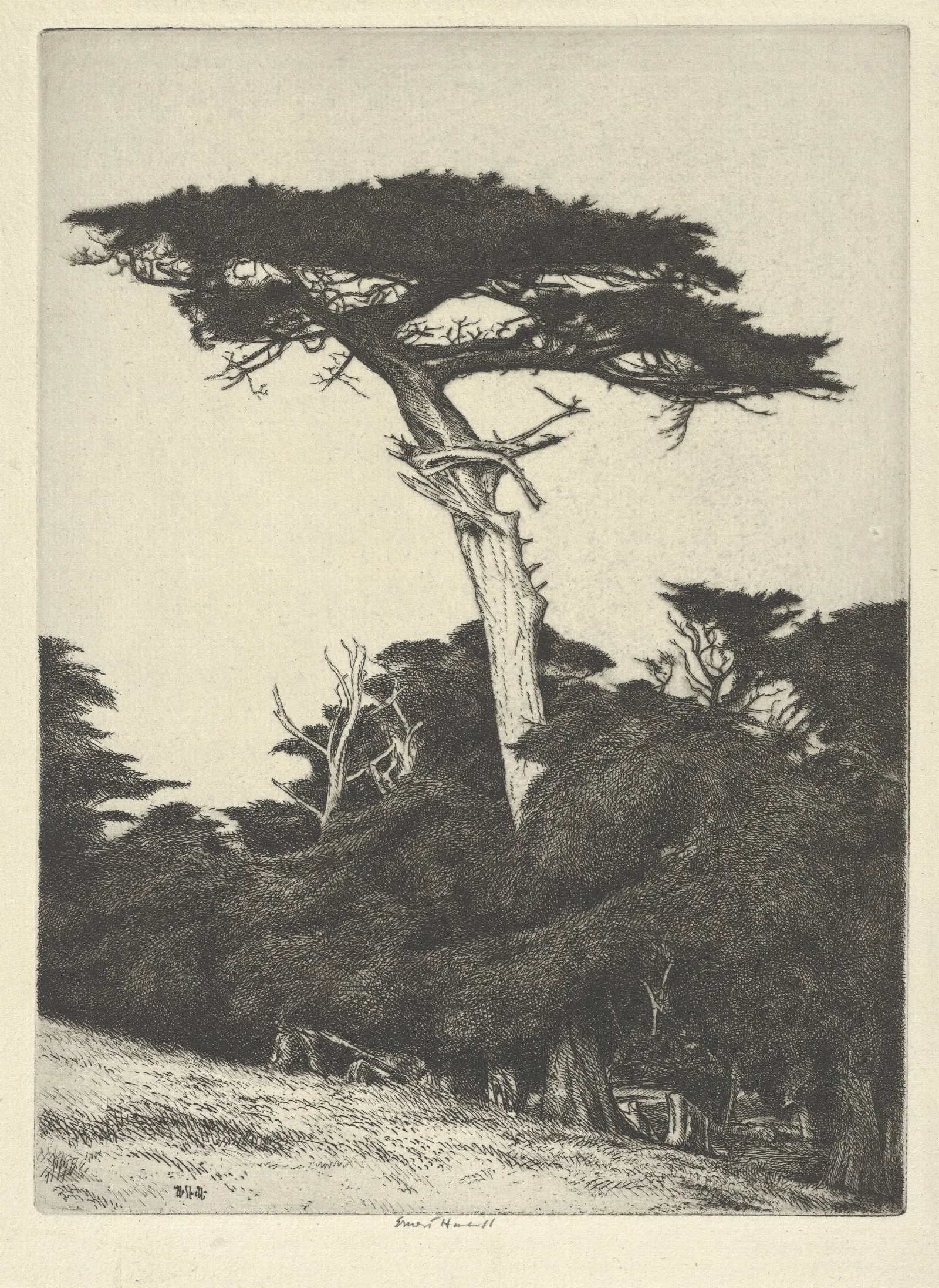 Dryads Parasol Wall Art by Ernest Haskell - Canvas Print