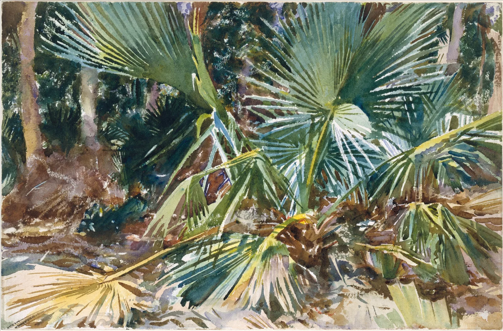 Palmettos Wall Art by John Singer Sargent - Canvas Print