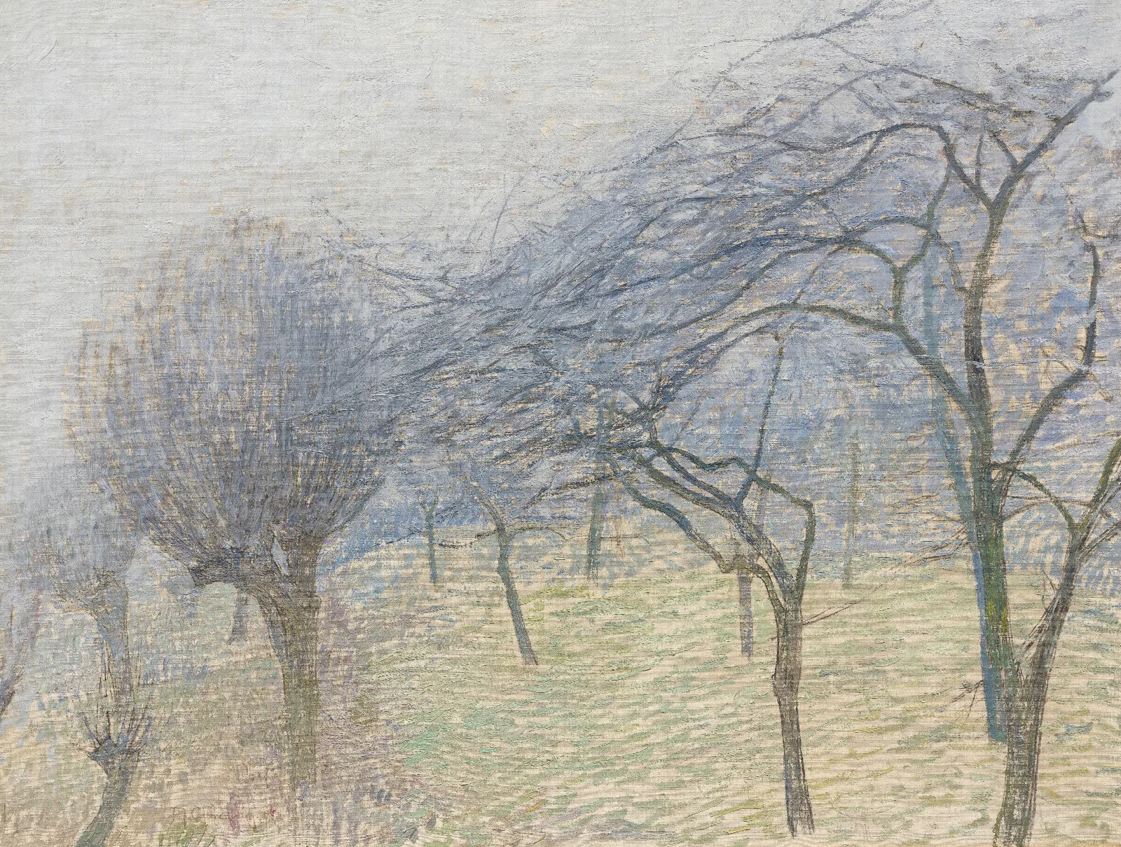 Baume Im Nebel Wall Art by Max Clarenbach - Canvas Print