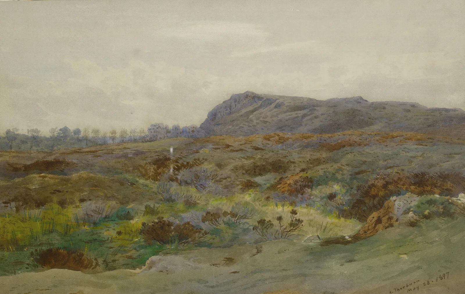 Moorland Landscape Wall Art by Archibald Thorburn - Canvas Print
