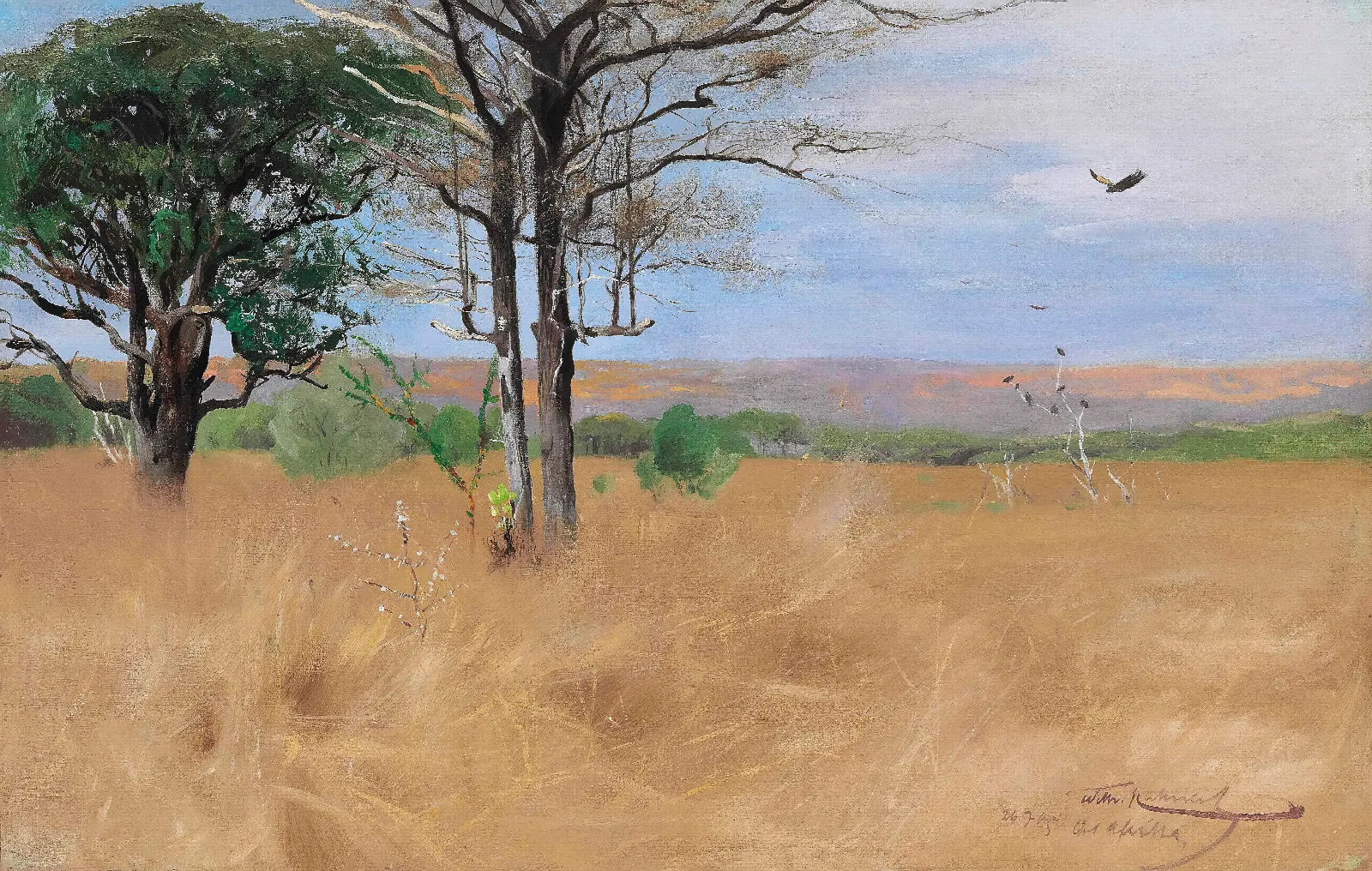 Ost Africa Wall Art by Wilhelm Kuhnert - Canvas Print