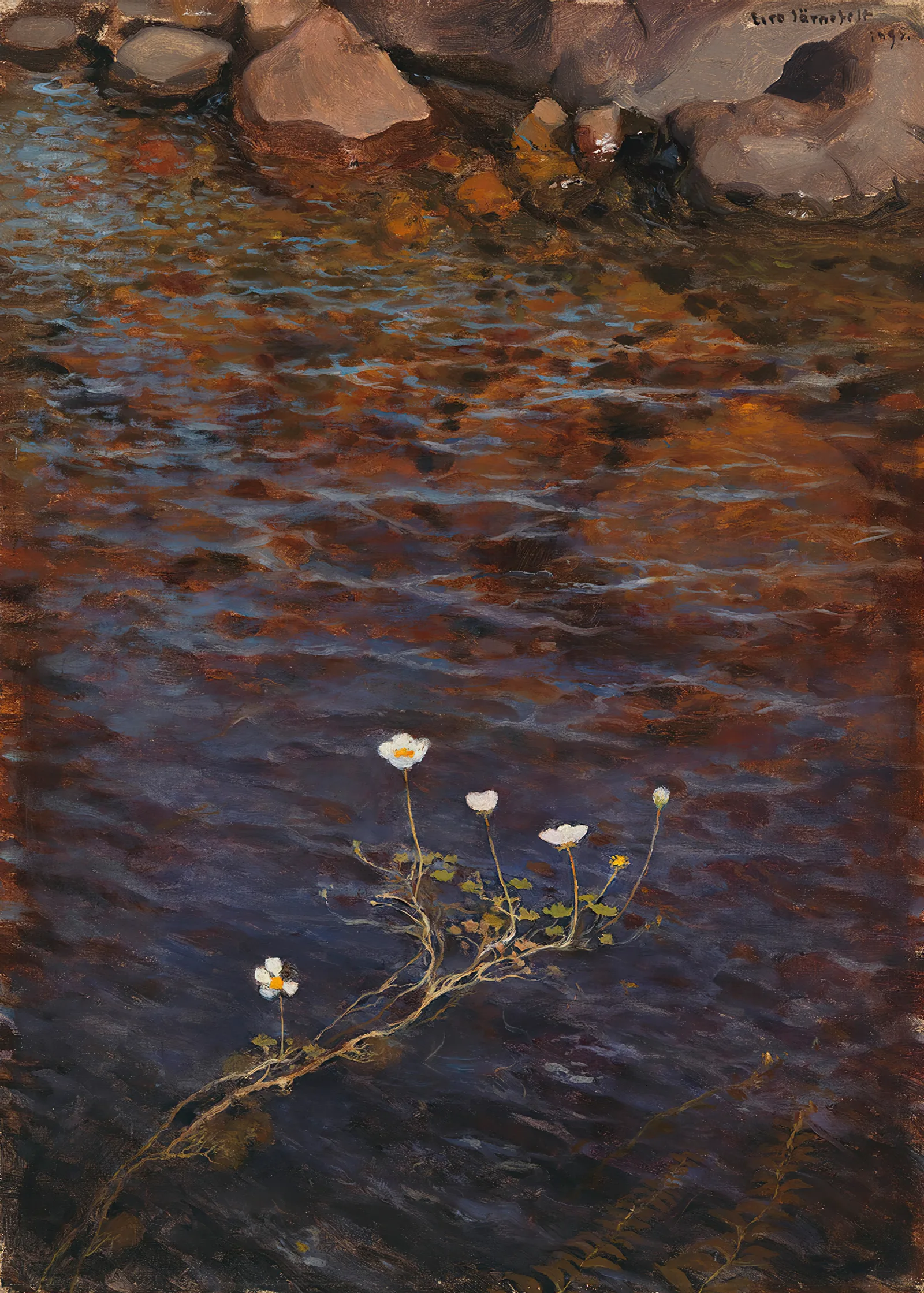 Pond Water Crowfoot Wall Art by Eero Järnefelt - Canvas Print
