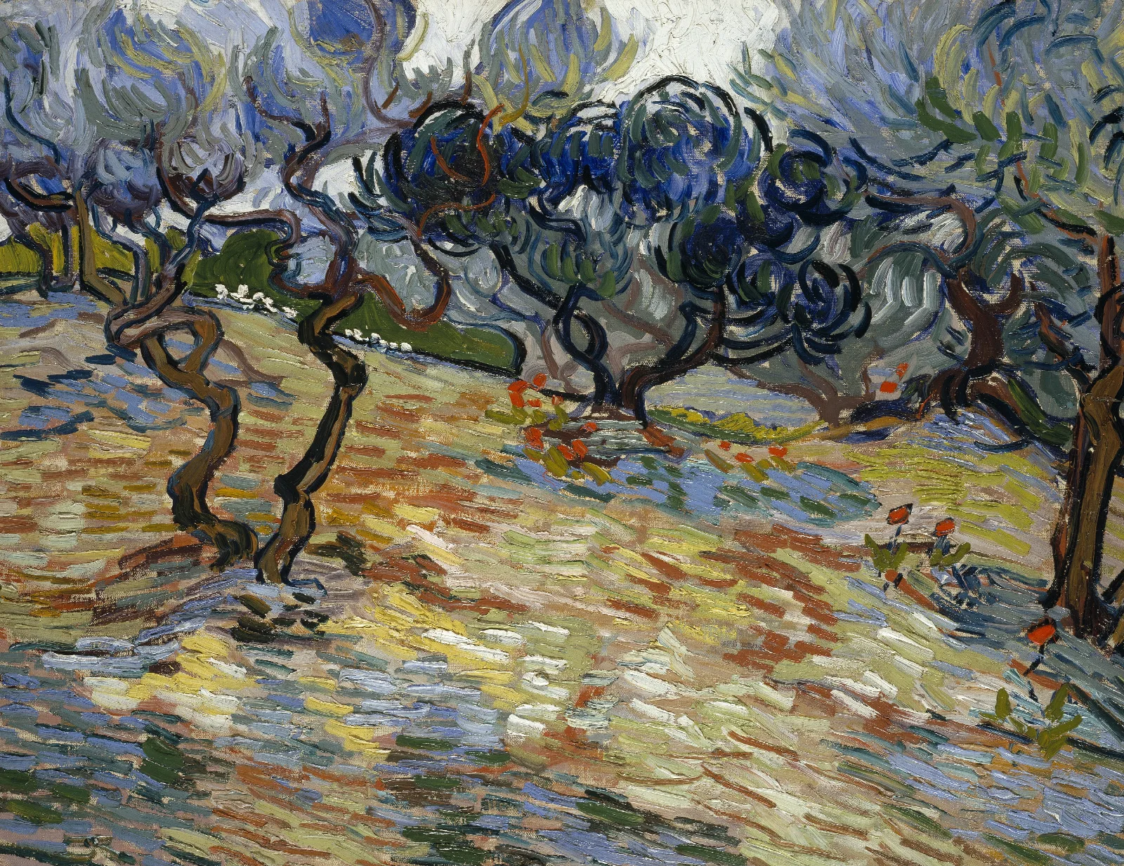 Olive Trees Wall Art by Vincent van Gogh - Canvas Print