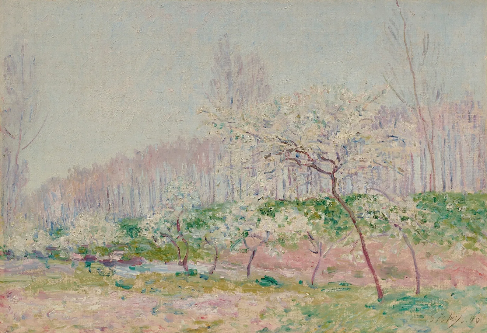 Pommiers En Fleurs Wall Art by Alfred Sisley - Canvas Print