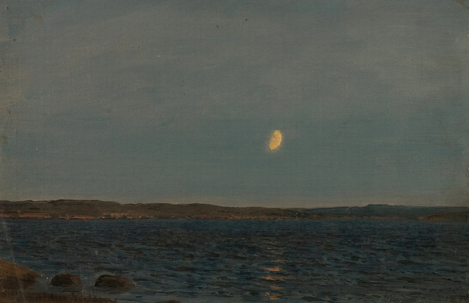 Maneskinn Hvaler Wall Art by Amaldus Nielsen - Canvas Print