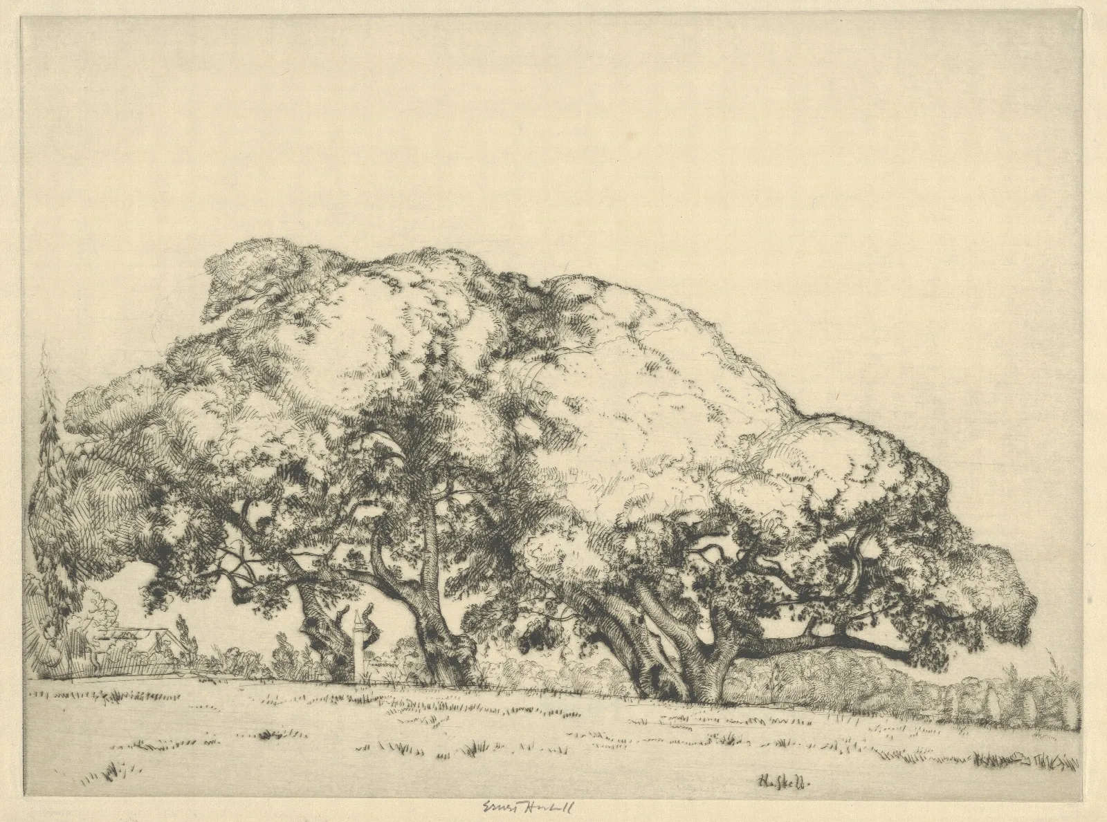 Four Live Oaks Wall Art by Ernest Haskell - Canvas Print