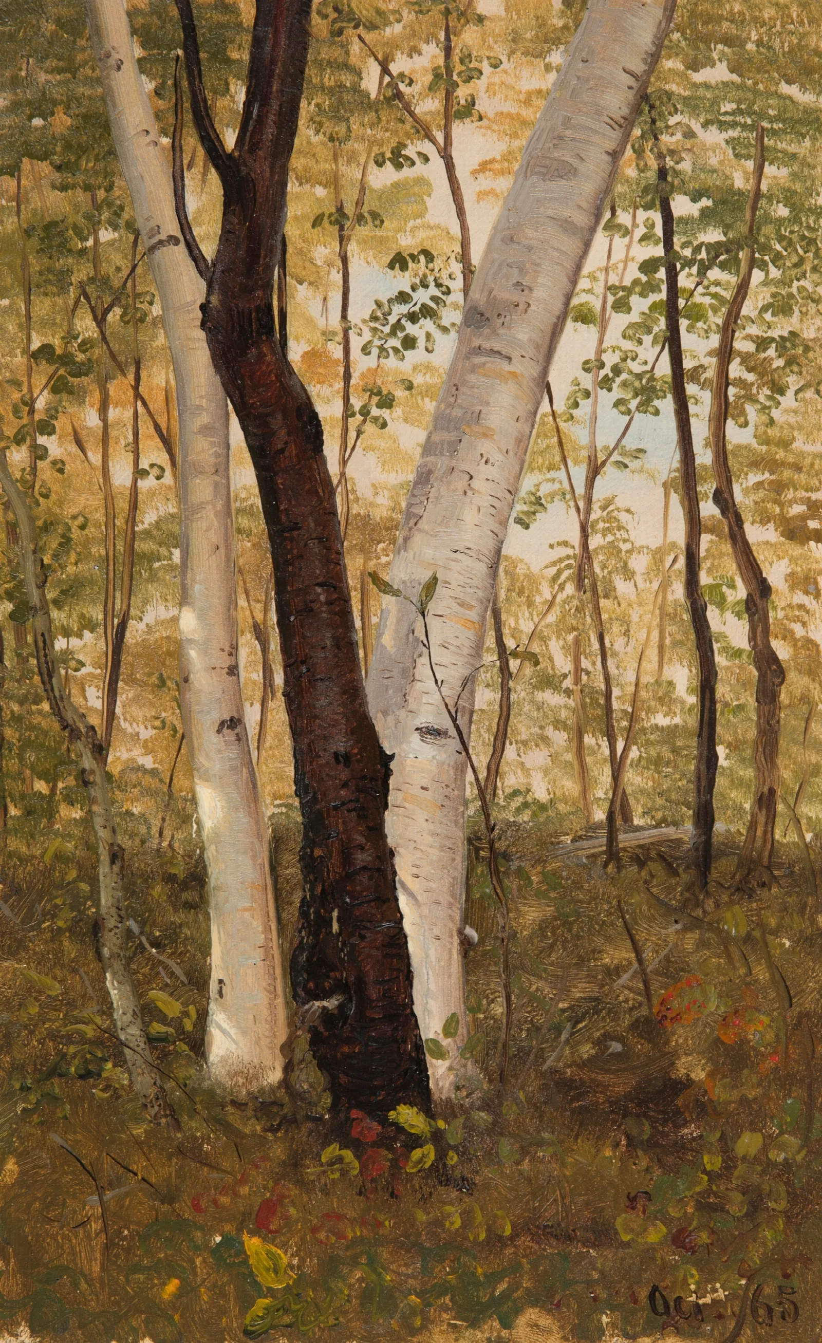 In The Woods Hudson New York Wall Art by Frederic Edwin Church - Canvas Print
