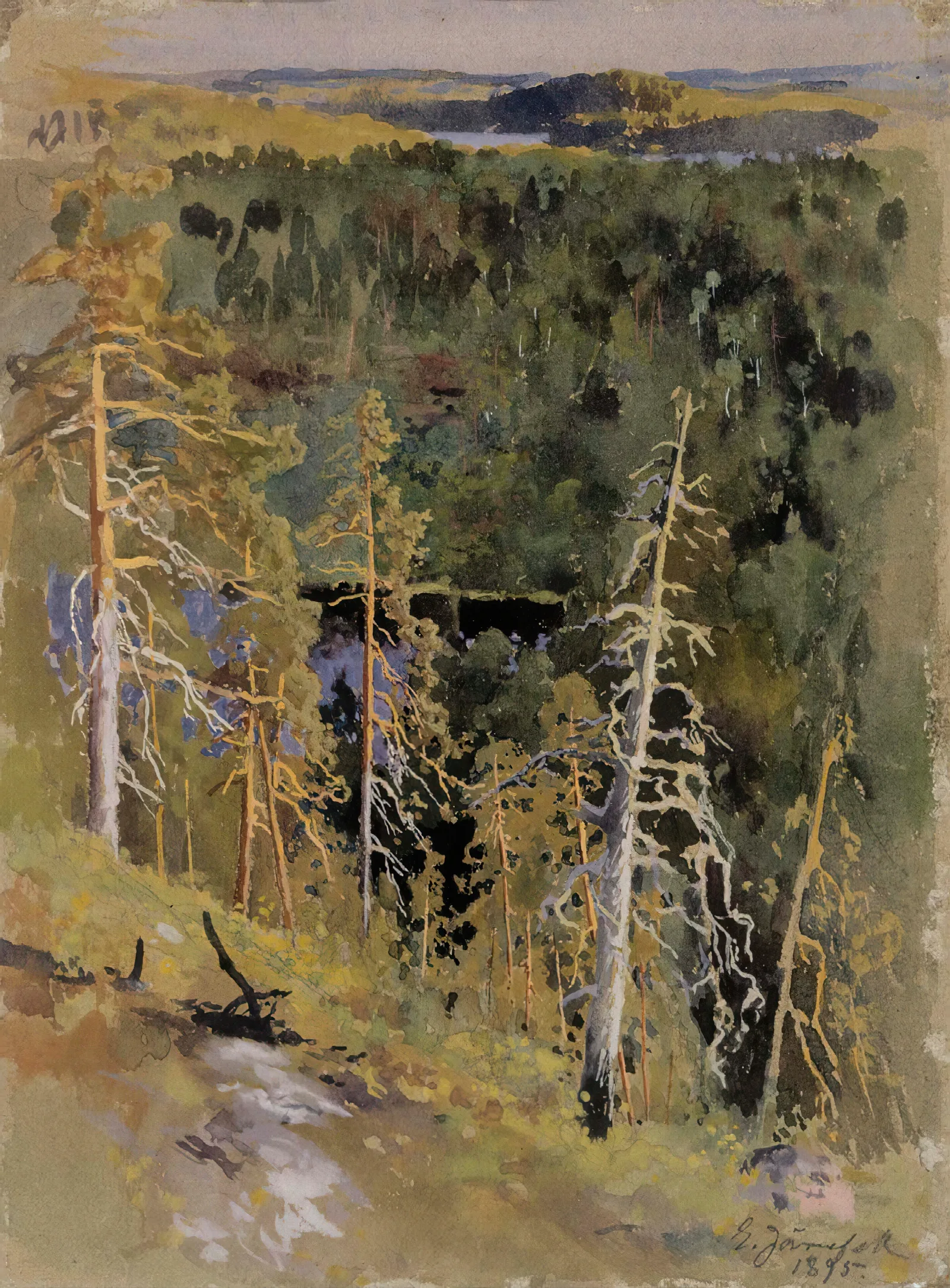 Forest Landscape 2 Wall Art by Eero Järnefelt - Canvas Print