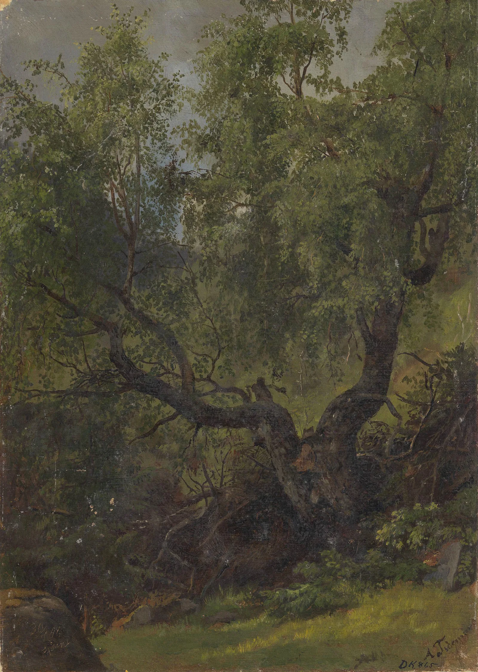 Forest Study From Numedal Wall Art by Adolph Tidemand - Canvas Print